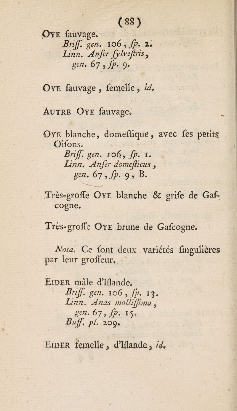 Oye fauvage. Brijf. gen. io6 , fp. lé Linn. An fer fylvejlrisy gen. 67 ? fp. 9, Oye fauvage , femelle , id. Autre Oye fauvage» Oye blanche, domeflique, avec fes petits Oifons. Brijf. gen. 106, fp. i« Linn. Anfer domejlicus, gen. 67 , fp. 9 , B. Très^groffe Oye blanche & grife de Gaf- cogne. Très-* greffe Oye brune de Gafcogne. / Afow, Ce font deux variétés fingulières par leur groffeur. Eider mâle d’Iflandç, Brijf. gen. 106 9 fp. 13, Linn. A nas moLlifjima 9 gen. 6-jyfp. 15, Buffl pi. 209, ëîoer femelle, d’Iflaade3 id%