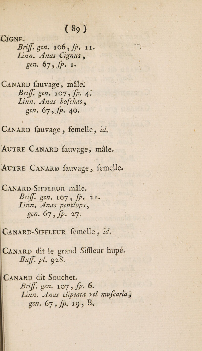 ClGNE. Brijf. gen. ioG^fp. u. Linn. Anas Cignus , gen. 67, fp. l. Canard fauvage, mâle. Brijf. §en• I07 ifp- 4» Linn. Anas bofchas , ^/z. 67 , fp. 40. « Canard fauvage, femelle, Autre Canard fauvage, mâle. Autre Canard fauvage, femelle. Canard-Siffleur mâle. Brijf, gen. 107, fp. 21. Linn. Anas peneLops, £««• 67 » •//’• 27- Canard-Siffleur femelle, id. Canard dit le grand Siffleur hupé. Buff. pl. 928, Canard dit Souchet. BriJJ'. gen. 107, fp* 6. Linn. Anas clipeata vel mufcaria gen. 67, fp. 19, B„