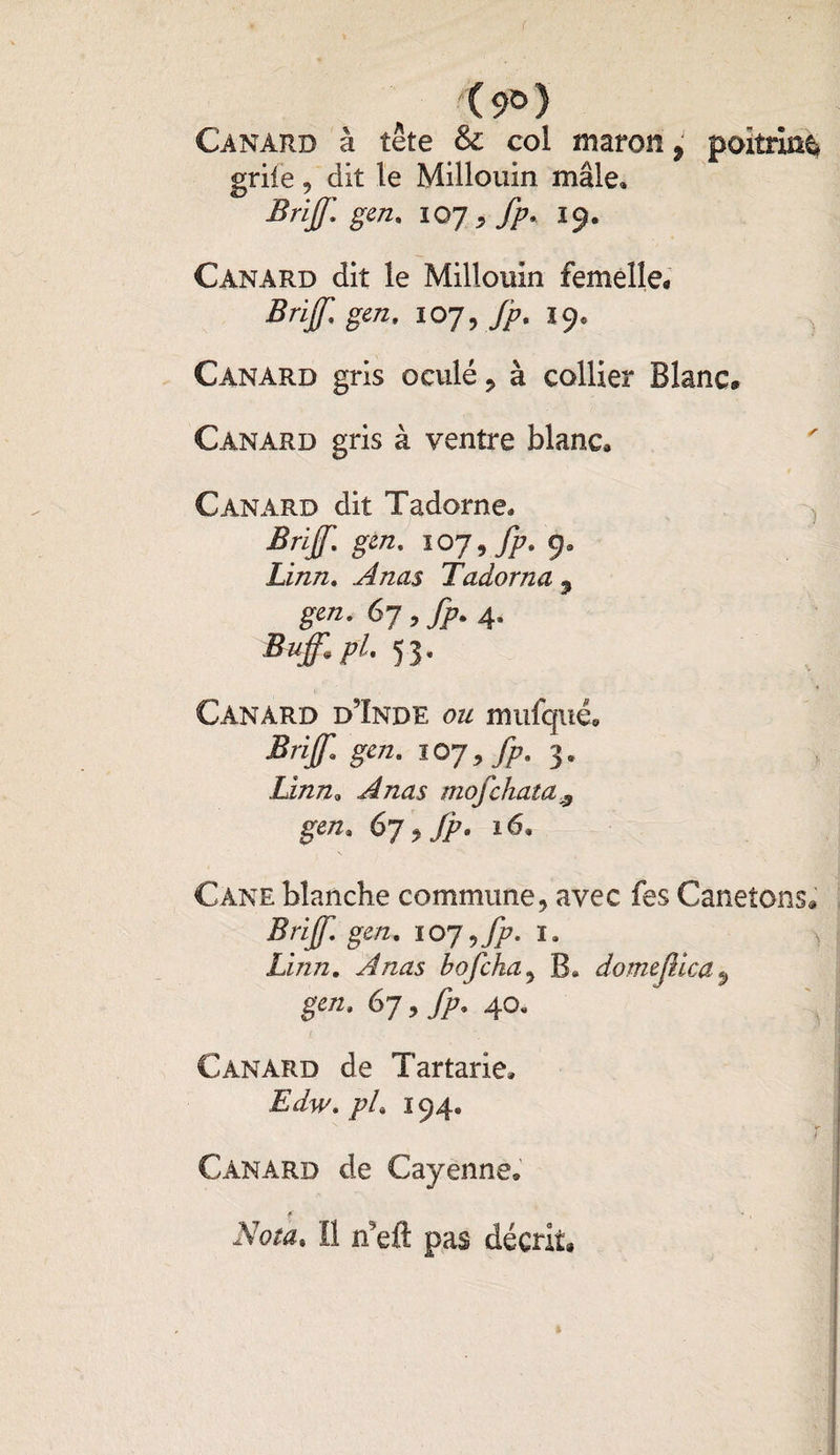 '(9°) Canard à tête & col tnaron, poitrim, griie ? dit le Millouin mâle» BriJJ. gen. 10J, fp* 19. Canard dit le Millouin femelle* BrijJ<] gen, 107, fp. 19. Canard gris oculé, à collier Blanc® Canard gris à ventre blanc* Canard dit Tadorne» Briff. gen. 107 9fp. 9» Linn. ^/zæî Tadorna 3 67, fp. 4. Buff.pl. 53. Canard d9înde ou mufqiié* Briff gen. ïoj, fp. y. linn» A nas mofchuta ^ gen, 6j<>fp. 16, Cane blanche commune, avec fes Canetons» Briff. gen. 107 ffp. 1. Linn. A nas hofcha, B. domejüca 9 gen. 6j, 40- Canard de Tartane» //« 194. ? Canard de Cayenne» f A7o^. Il tfeft pas décrit»