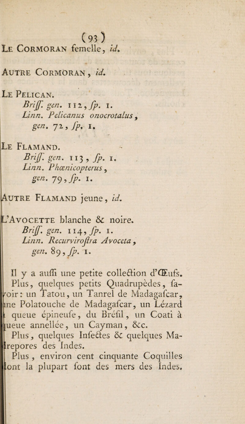 Le Cormoran femelle, id. Autre Cormoran , id. Le Pélican. Brif gen. ni 9Jp. I. Linn. Pdicanus onocrotalus 9 gen. 72, fp. 1. Le Flamand. Brif gen. 113 , fp. 1. Linn. Phœnicopterus 9 gen. 79 , fp. I. Autre Flamand jeune, id. L’Avo cette blanche & noire. Brijf. gen. 114 9 fp. 1. Linn. Recurvirojîra Avoceta 9 gen. 89,7/7/1. Il y a auffi une petite colle&ion d’CEufs. Plus, quelques petits Quadrupèdes, fa*» roir: un Tatou, un Tanrel de Madagafcar, me Polatouche de Madagafcar, un Lézard . queue épineufe, du Bréfil, un Coati à îueue annellée, un Cayman, 6cc. Plus, quelques Infeéles 6c quelques Ma¬ lrepores des Indes. Plus , environ cent cinquante Coquilles ont la plupart font des mers des Indes.