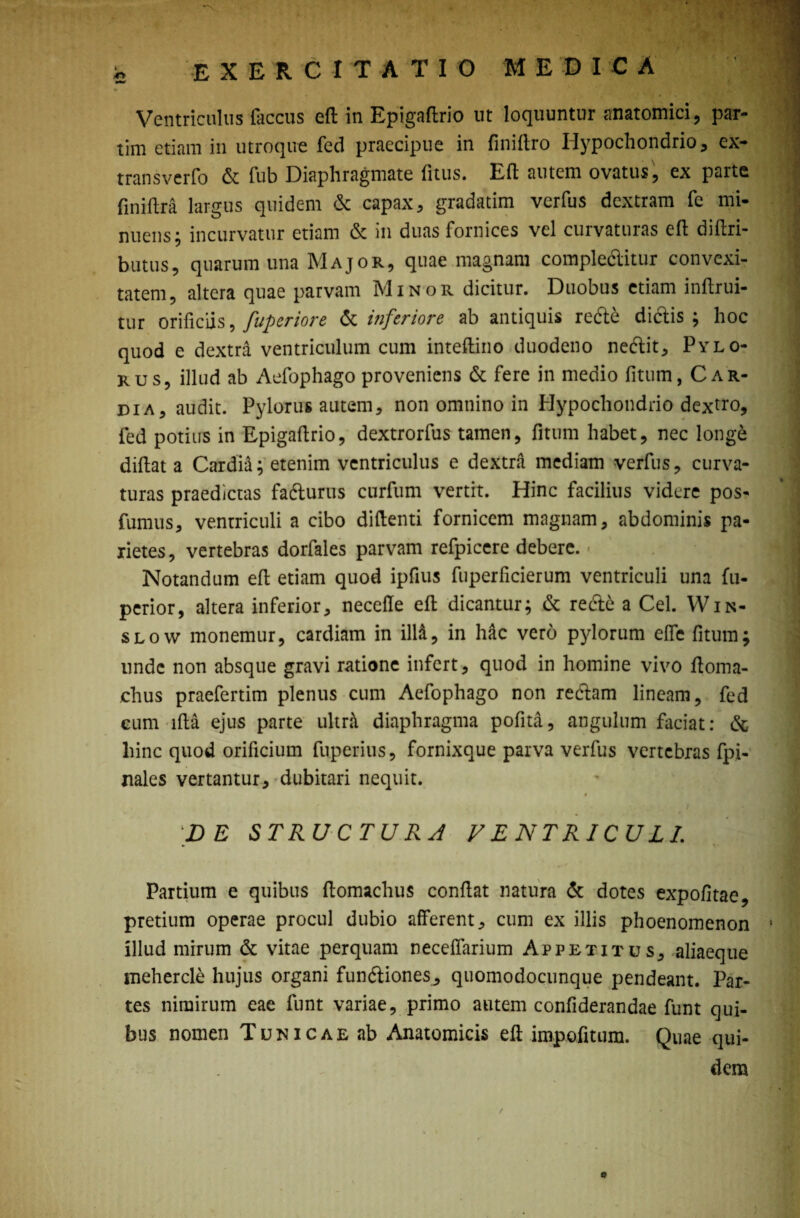 Ventriculus faccus eft in Epigaflrio ut loquuntur anatomici, par- tim etiam in utroque fed praecipue in finiftro Hypochondrio, ex- transverfo & fub Diaphragmate fitus. Eft autem ovatus, ex parte finiftra largus quidem & capax, gradatim verfus dextram fe mi¬ nuens; incurvatur etiam & in duas fornices vel curvaturas eft diflri- butus, quarum una Major, quae magnam complebitur convexi¬ tatem, altera quae parvam Minor dicitur. Duobus etiam inftrui- tur orificiis, fuperiore & inferiore ab antiquis rebe dibis ; hoc quod e dextra ventriculum cum inteftino duodeno nebit. Pylo¬ rus, illud ab Aefophago proveniens & fere in medio fitum, Car¬ dia, audit. Pylorus autem, non omnino in Hypochondrio dextro, fed potius in Epigaflrio, dextrorfus tamen, fitum habet, nec longe diftat a Cardia; etenim ventriculus e dextra mediam verfus, curva¬ turas praedictas faburus curfum vertit. Hinc facilius videre pos- fumus, ventriculi a cibo didenti fornicem magnam, abdominis pa¬ rietes, vertebras dorfales parvam refpicere debere. * Notandum ed etiam quod ipfius fuperficierum ventriculi una fu- perior, altera inferior, neceffe ed dicantur; & reb£ a Cei. Win- slow monemur, cardiam in illd, in Mc vero pylorum ede fitum; unde non absque gravi ratione infert, quod in homine vivo ftoma- ,chus praefertim plenus cum Aefophago non rebam lineam, fed cum lfla ejus parte ultnt diaphragma pofita, angulum faciat: & liinc quod orificium fuperius, fornixque parva verfus vertebras fpi- jiales vertantur, dubitari nequit. DE STRUCTURA VENTRICULI. Partium e quibus ftomachus confiat natura & dotes expofitae, pretium operae procul dubio afferent, cum ex illis phoenomenon illud mirum & vitae perquam neceffarium Appetitus, aliaeque inehercle hujus organi funbiones, quomodocunque pendeant. Par¬ tes nimirum eae funt variae, primo autem confiderandae funt qui¬ bus nomen Tunicae ab Anatomicis eft impofitum. Quae qui¬ dem /