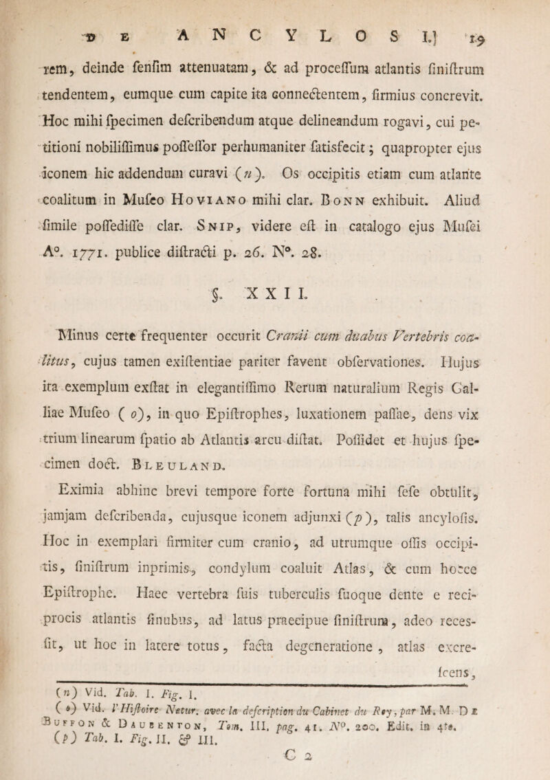 b e ANCYLOSI.] '15, rem, deinde fenfim attenuatam, & ad procefTum atlantis finiftrum tendentem, eumque cum capite ita conne&entem, firmius concrevit. Hoc mihifpecimen defcribendum atque delineandum rogavi, cui pe-» titioni nobiliffimus poffeffor perhumaniter fatisfecit; quapropter ejus iconem hic addendum curavi (^)„ Os occipitis etiam cum atlante coalitum in Mufeo Hoviano mihi clar. Bonn exhibuit. Aliud fimile poflediffe clar. Snip, videre efi in catalogo ejus Mufei A°. 1771. publice diftrabti p. 26. N°. 28. §. X X I L Minus certe frequenter occurit Cranii cum duabus Vertebris coa¬ litus, cujus tamen exifientiae pariter favent obfervationes. Hujus ita exemplum exfiat in elegantiffimo Rerum naturalium Regis Gal¬ liae Mufeo ( 0), in quo Epiftrophes, luxationem pafiae, dens vix trium linearum fpatio ab Atlantis arcu didat. Poffidet et hujus fpe- cimen do6f. Bleuland. Eximia abhinc brevi tempore forte fortuna mihi fefe obtulit, jamjam deferibenda, cujusque iconem adjunxi ), talis ancylofis. Hoc in exemplari firmiter cum cranio, ad utrumque offis occipi¬ tis, finifirum inprimis., condylum coaluit Atlas, & cum hocce Epifirophe. Haec vertebra fuis tuberculis fuoque dente e reci¬ procis atlantis finubus, ad latus praecipue finifirum, adeo reces- fit, ut hoc in latere totus, facla degeneratione, atlas excre- 3 _ Icens, («) Vid. Tab. I. Fig. 1. ( f) Vid. I Hijloire Nttur. avec la defeription du Cabivet du Fty,par M. M. Di UFF0N & ^aubenton, Tam. III, pag. 41. AT0. 200. Edit, in 4*a. Cp) Tab. I. Fig. II. &? m,