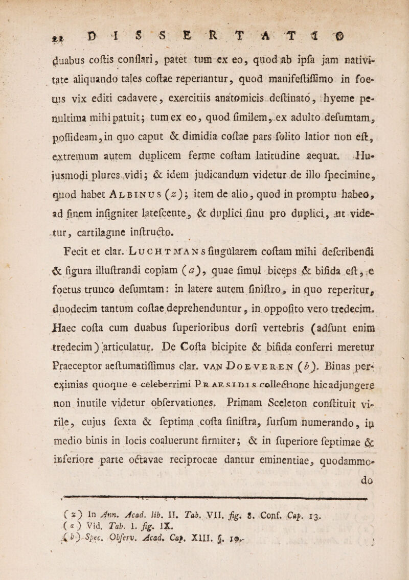 • ** . , ' • duabus codis conflari ? patet tum ex eo, quod ab ipfa jam nativi* tate aliquando tales codae reperiantur, quod manifediflamo in foe- Uis vix editi cadavere, exercitiis anatomicis dedinato, hyeme pe- nultima mihi patuit; tum ex eo* quod fimilem,. ex adulto-defumtam, p.offideam, in quo caput & dimidia codae pars folito latior non efi, extremum autem duplicem ferme codam latitudine aequat Hu¬ jusmodi plures vidi; & idem judicandum videtur .de illo fpecimine, quod habet Albinus (s); item de alio, quod in promptu habeo, ad finem infigniter latefcente, & duplici finu pro duplici, m vide¬ tur 5 cartilagine indrudlo. Fecit et clar. Lucht m a n s Angularem codam mihi defcribendi & figura iliudrandi copiam (a)9 quae fimul biceps & bifida ed, ,e foetus trunco defumtam: in latere autem finidro, in quo reperitur, duodecim tantum codae deprehenduntur, in oppofito vero tredecint Haec coda cum duabus fuperioribus dorfi vertebris (adfunt enim tredecim) articulatur. De Coda bicipite & bifida conferri meretujr Praeceptor aedumatiflimus clar. vanDo^veren (£). Binas per* eximias quoque e celeberrimi Prarstdis colle&ione hic adjungere non inutile videtur obfervationes. Primam Sccleton eondituit vi¬ rile, cujus fexta & feptima coda finidra, furfum numerando, ip medio binis in locis coaluerunt firmiter; & in fuperiore feptimae St inferiore parte oftavae reciprocae dantur eminentiae, quodammo¬ do .11 . ..«IJ — ■■■■.T. | III. I | ■j l————y C 3 3 In Ann, jlcad. lib. II* Tab, VII. fig, 8. Conf. Cap. 13. ( fi ) Vid. Tab. I. fig* JX. Spec. Qbferv, Acad. Cap. XIII. j©e-