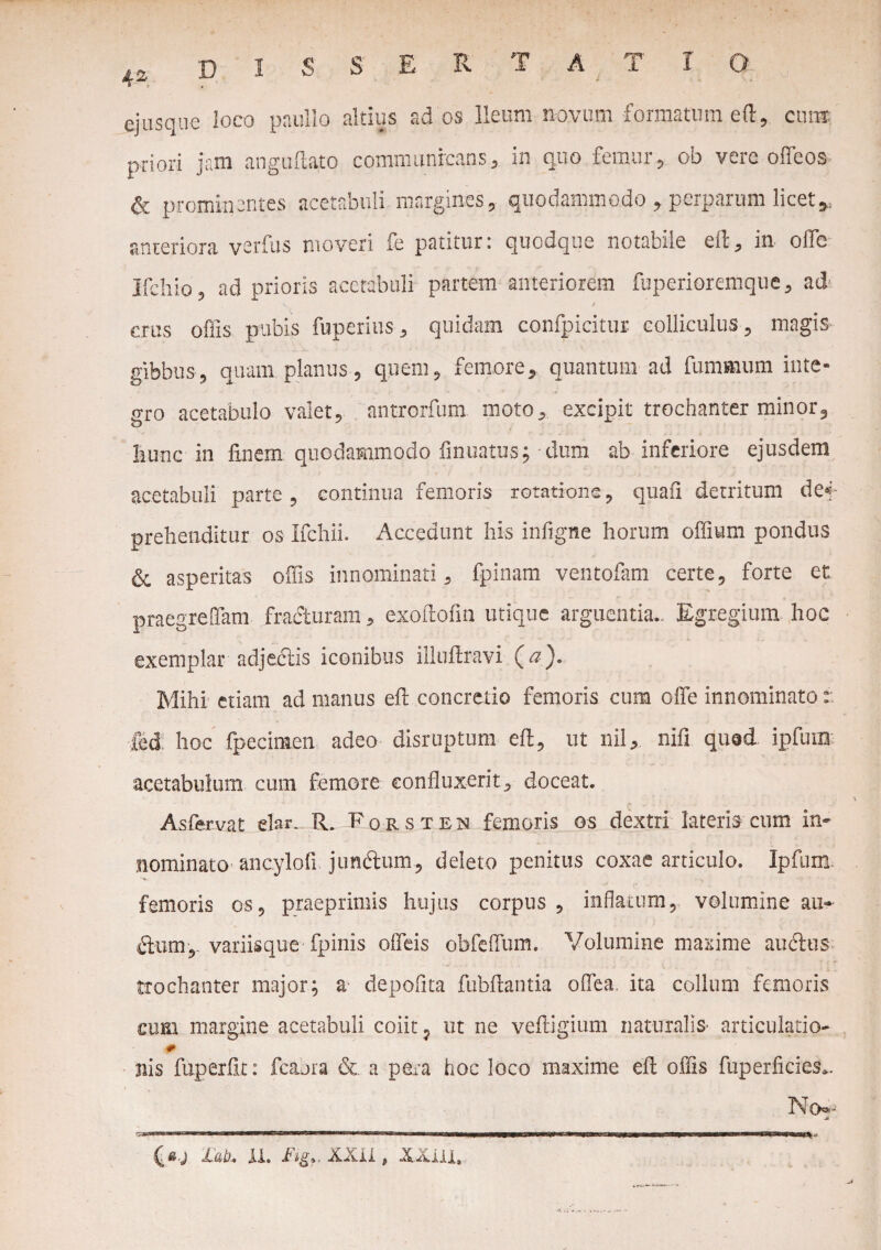 ejusque loco paullo altius ad os Ileum novum formatum eft, cum priori jam anguftato communicans,, in quo femur, ob vere offeos & prominantes acetabuli margines, quodammodo , perparum licet* anteriora verfus moveri fe patitur: quodque notabile eft, in olle Ifchio, ad prioris acetabuli partem anteriorem fuperioremque, ad crus offis pubis fuperius, quidam confpicitur colliculus, magis- gibbus, quam planus, quem, femore, quantum ad fummum inte¬ gro acetabulo valet, antrorfum moto, excipit trochanter minor, hunc in finem-quodammodo finuatus;-dum ab inferiore ejusdem acetabuli parte, continua femoris rotatione, quafi detritum def prehenditur os Ifchii. Accedunt hi-s infigne horum offiium pondus & asperitas offis innominati, fpinam ventofam certe, forte et praegreffiam fradturam, exoftofin utique arguentia.. Egregium hoc exemplar adjectis iconibus illuftravi (#). Mihi etiam ad manus eft concretio femoris cum offe innominatot fed hoc fpecimen adeo disruptum eft, ut nil, nifi qu@d ipfum acetabulum cum femore confluxerit, doceat. Asfervat elar. R. Forsten femoris os dextri lateris cum in¬ nominato ancylofi jumffium, deleto penitus coxae articulo. Ipfum femoris os, praeprimis hujus corpus , inflatum, volumine au-- dum,, variisque fpinis offeis obfeffum. Volumine masime au ciu s trochanter major; a- depofita fiibfiantia oflea. ita collum femoris cum margine acetabuli coiit ? ut ne veftigium naturalis- articulatio- # nis fuperfir: fcaura & a pera hoc loco maxime efl offis fuperficies*. No*-- jk . ■ilium —ir inrr —W—————=— ■ mmm——iwp—P —M ——Pi ■ —— ■ ■ 1 ■ 'mrnHgMH,a iab. XX* Fig*. XXIX , XXili,