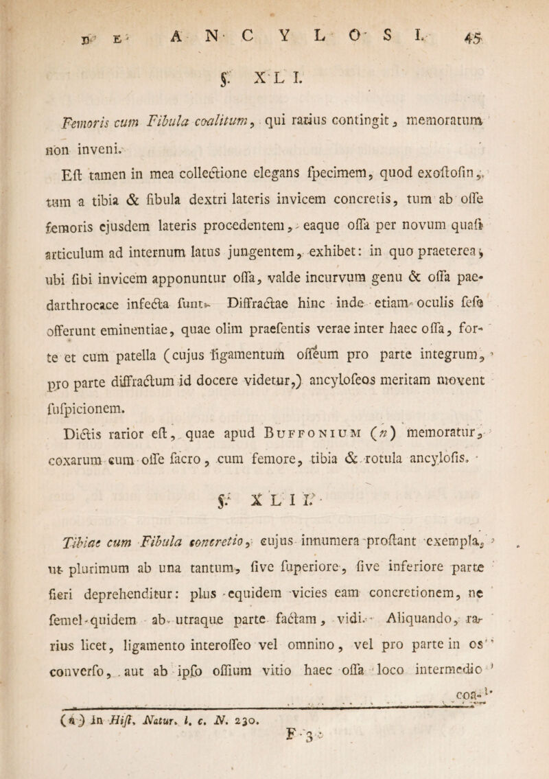 §. X L L Femoris eum Fibula coalitum 9 qui rarius contingit , memoratum non inveni, Eft tamen in mea collectione elegans fpecimem, quod exoftofin,, tmn a tibia & fibula dextri lateris invicem concretis, tum ab offe femoris ejusdem lateris procedentem * > eaque offa per novum quaft articulum ad internum latus jungentem, exhibet: in quo praeterea* ubi fibi invicem apponuntur offa, valde incurvum genu & offa pac- darthrocace infedta funt* Diffradtae hinc inde etiam- oculis fefe offerunt eminentiae, quae olim praefentis verae inter haec offa, for¬ te et cum patella (cujus ligamentum oileum pro parte integrum, * pro parte diffractum id docere videtur,) ancytofeos meritam movent fufpicionem. Didtis rarior eft,,.quae apud Buffonium (n) memoratur, > coxarum cum offe facro, cum femore, tibia & rotula ancylofis. • X L I V Tibiae cum Fibula concretio, cujus innumera 'proflant exempla, ’» xxt plurimum ab una tantum, five fuperiore, five inferiore parte fieri deprehenditur: plus equidem vicies eam concretionem, nc femel-quidem ab-utraqne parte factam, vidi.- Aliquando, ra¬ rius licet, ligamento interoffeo vel omnino, vel pro parte in os“ converfo, . aut ab ipfo offium vitio haec offa loco intermedio eoa* (fl) In Hijiy Natur y l, c, N. 230. n * 3 ^