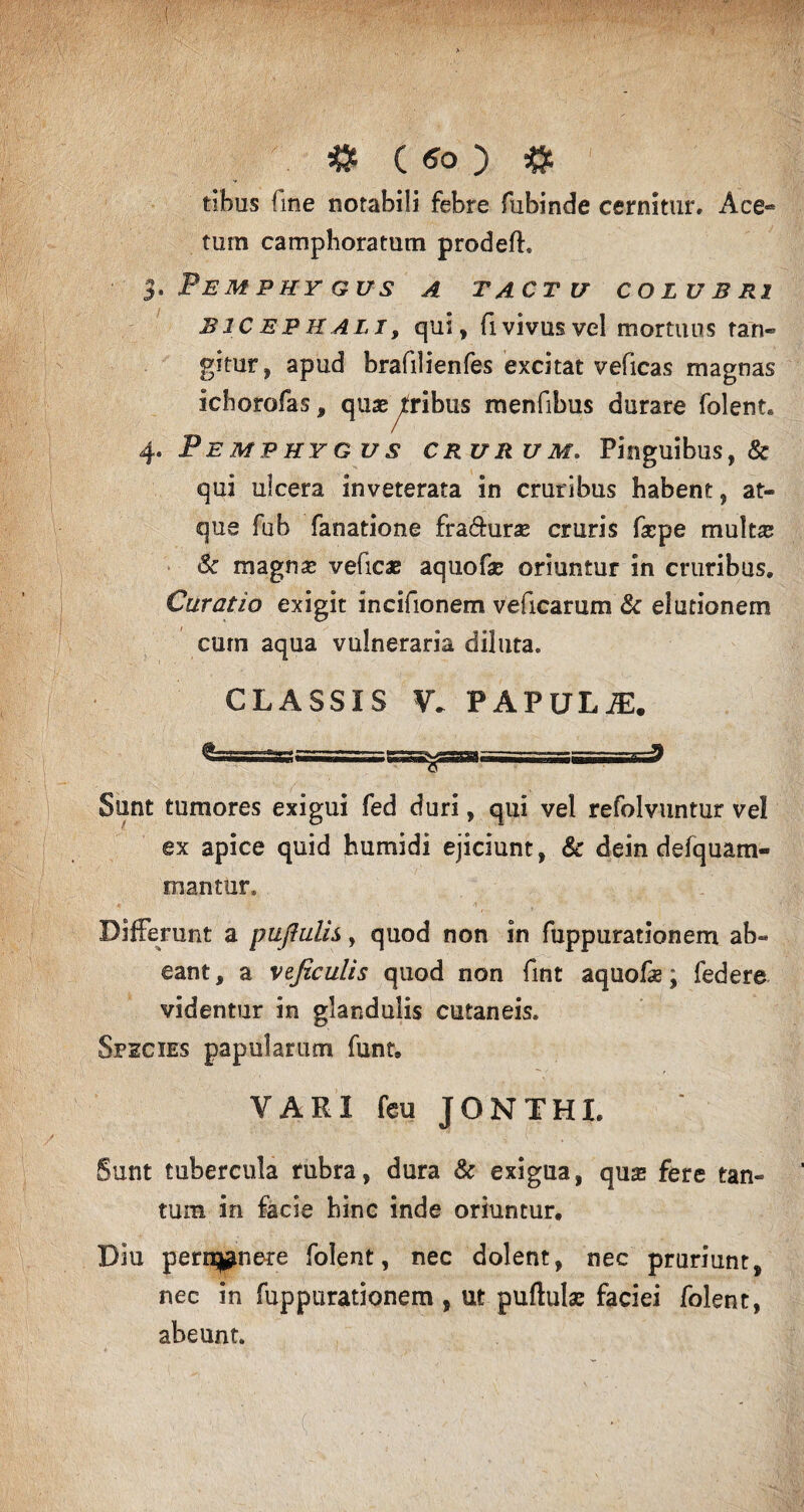 tibus fine notabili febre fubinde cernitur. Ace¬ tum camphoratum prodeft, 3, Fem phy gus a tactu colubri BlC EPHALI, qui, fi vivus vel mortuus tan¬ gar» apud brafilienfes excitat veficas magnas ichorofas, quae fribus menfibus durare folent. 4. Pemphygus crurum. Pinguibus, & qui ulcera inveterata in cruribus habent, at¬ que fub fanatione fradurae cruris faepe multae & magnas veficae aquofae oriuntur in cruribus. Curatio exigit incifionem veficarum & elutionem cum aqua vulneraria diluta. CLASSIS W PAPULA. Sunt tumores exigui fed duri, qui vel refolvuntur vel ex apice quid humidi ejiciunt, & dein defquam- mantur. Differunt a pujlulis, quod non in fuppurationem ab¬ eant, a vtficulis quod non fint aquofas; federe videntur in glandulis cutaneis. Species papularum funt. VARI feu JONTHI. Sunt tubercula rubra, dura & exigua, quas fere tan¬ tum in facie hinc inde oriuntur. Diu pertinere folent, nec dolent, nec pruriunt, nec in fuppurationem, ut puftulae faciei folent, abeunt.