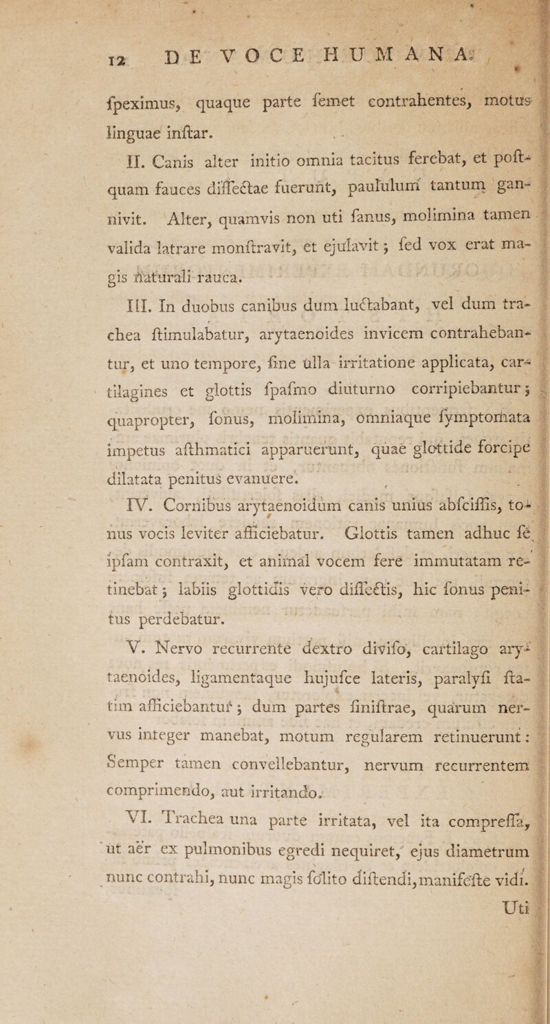 * DE VOCE H U M A N A, \ * fpeximus, quaque parte femet contrahentes, motus linguae inflar. II. Canis alter initio omnia tacitus ferebat, et poft- quam fauces diffeclae fuerunt, paululum tantum gan~ nivit. Alter, quamvis non uti fanus, molimina tamen valida latrare monfbravit, et ejulavit; fed vox erat ma¬ gis daturali rauca. III. In duobus canibus dum luflabant, vel dum tra- t - • - * chea famulabatur, arytaenoides invicem contraheban¬ tur, et imo tempore, fine ulla irritatione applicata, car¬ tilagines et glottis fpafmo diuturno corripiebantur 5 quapropter, fonus, molimina, omniaque fymptomata impetus aflhmatici apparuerunt, quae glottide forcipe dilatata penitus evanuere. IV. Cornibus arytaenoidum canis unius abfciffis, to¬ nus vocis leviter alliciebatur. Glottis tamen adhuc fe lpfam contraxit, et animal vocem fere immutatam re¬ tinebat 5 labiis glottidis vero dideftis, hic fonus peni¬ tus perdebatur. V. Nervo recurrente dextro divifo, caimlago ary¬ taenoides, ligamentaque hujufce lateris, paralyfi fta- tim afficiebantuf; dum partes fmiftrae, quarum ner¬ vus integer manebat, motum regularem retinuerunt: Semper tamen convellebantur, nervum recurrentem comprimendo, aut irritando. VI. I rachea una parte irritata, vel ita comprefla, ut aer ex pulmonibus egredi nequiret, ejus diametrum nunc contrahi, nunc magis fellito diftendi,manifcfte vidi. Uti