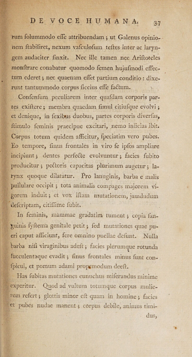 37 rum folummodo effe attribuendam ; ut Galenus opinio¬ nem flabiliret, nexum vafculofum tefles inter ac laryn¬ gem audaciter finxit. Nec ille tamen nec Ariftoteles monflrare conabatur quomodo femen hujufmodi effec¬ tum ederet; nec quaenam efTet partium conditio : dixe¬ runt tantummodo corpus ficcius effe fadfum. s Confenfum peculiarem inter quafdam corporis par¬ tes exiflere ; membra quaedam fimul citiufque evolvi; et denique, in fexibus duobus, partes corporis diverfas, bimulo feminis praecipue excitari, nemo inficias ibit» Corpus totum quidem afficitur, fpeciatim vero pubes. Eo tempore, finus frontales in viro fe ipfos ampliare incipiunt \ dentes perfecle evolvuntur, facies fubito producitur ; peftcris capacitas plurimum augetur; la¬ rynx quoque dilatatur. Pro lanuginis, barba e malis pullulare occipit ; tota animalis compages majorem vi¬ gorem induit; et vox ibam mutationem, jamdudum defcriptam, citiffime fubit. In feminis, mammae gradatim tument; copia fan- guinis fyflema genitale petit; fed mutationes quae pu¬ eri caput afficiunt, fere omnino puellae defunt. Nulla barba nifi viraginibus adeft, facies plerumque rotunda * fbcculentaque evadit ^ finus frontales minus funt con- , fpicui, et pomum adami propemodum cleeb. Has fubitas mutationes eunuchus miferandus minime experitur. Quod ad vultum totumque corpus mulie¬ rem refert; glottis minor eb quam in homine ; facies ct pubes nudae manent, corpus debile, animus timi¬ dus.