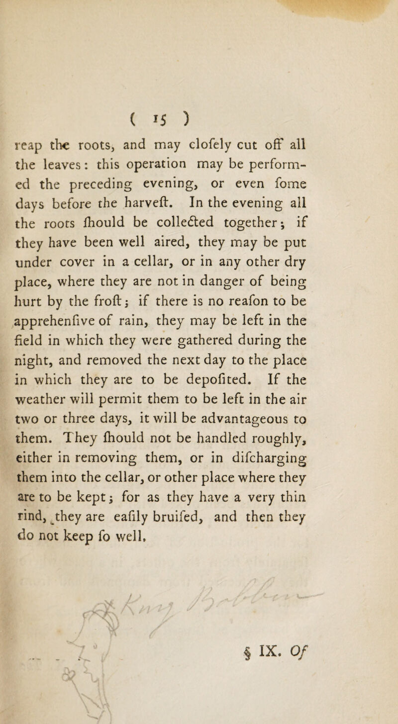reap the roots, and may clofely cut off all the leaves : this operation may be perform¬ ed the preceding evening, or even fome days before the harveft. In the evening all the roots fhould be collected together ; if they have been well aired, they may be put under cover in a cellar, or in any other dry place, where they are not in danger of being hurt by the froft; if there is no reafon to be apprehenfive of rain, they may be left in the field in which they were gathered during the night, and removed the next day to the place in which they are to be depofited. If the weather will permit them to be left in the air two or three days, it will be advantageous to them. They fhould not be handled roughly, either in removing them, or in difcharging them into the cellar, or other place where they are to be kept i for as they have a very thin rind, they are eafily bruifed, and then they do not keep fo well. u y § IX. Of