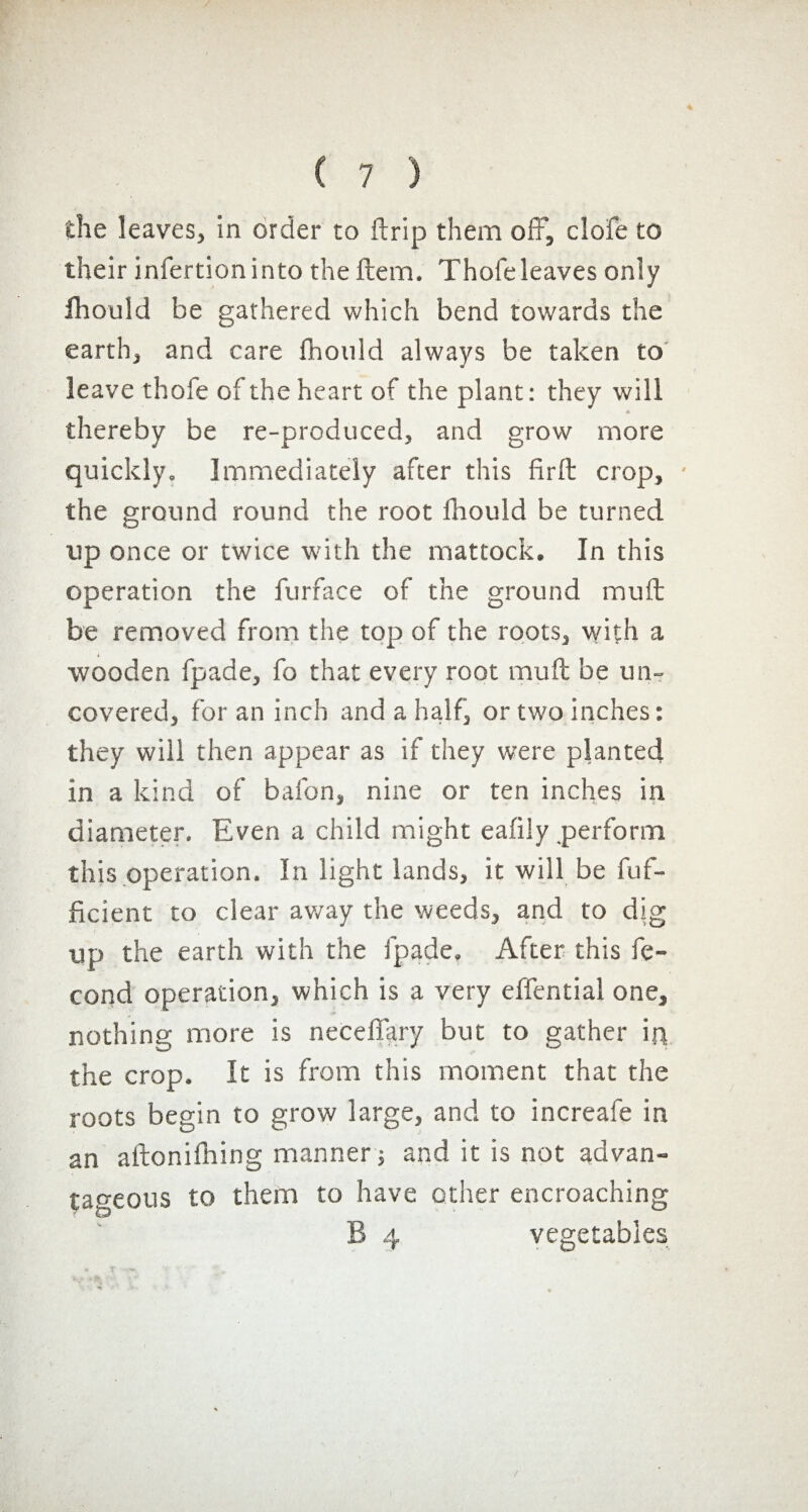 the leaves* in order to ftrip them off* clofe to their infertioninto the item, Thofeleaves only Ihould he gathered which bend towards the earth* and care ihould always be taken to leave thofe of the heart of the plant: they will * thereby be re-produced, and grow more quickly. Immediately after this firft crop, • the ground round the root fhould be turned up once or twice with the mattock. In this operation the furface of the ground mult be removed from the top of the roots, with a wooden fpade, fo that every root mull be un¬ covered, for an inch and a half, or two inches: they will then appear as if they were planted in a kind of bafon, nine or ten inches in diameter. Even a child might ealily perform this operation. In light lands, it will be fuf- ficient to clear away the weeds, and to dig up the earth with the fpade. After this fé¬ cond operation, which is a very effential one, nothing more is neceffary but to gather in the crop. It is from this moment that the roots begin to grow large, and to increafe in an aftonilhing manner -, and it is not advan¬ tageous to them to have other encroaching B 4 vegetables