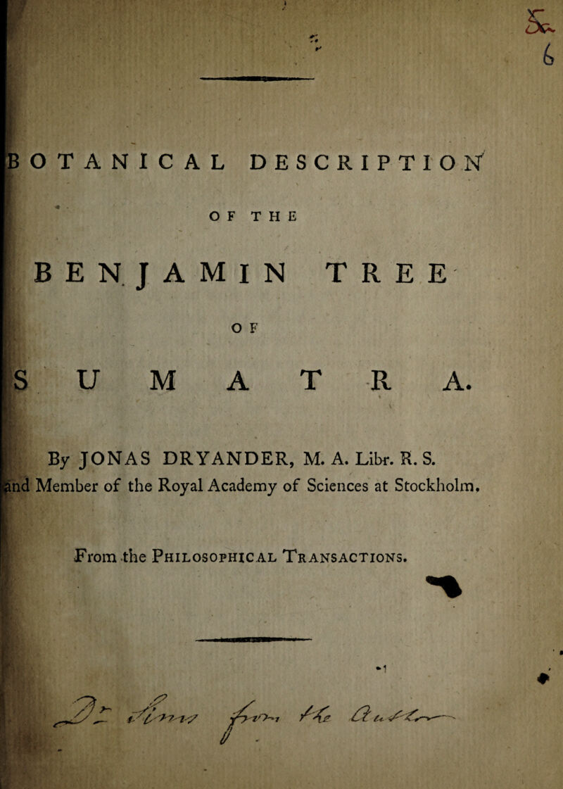 Yr ■p i * 4 OTANICAL DESCRIPTION' OF THE BENJAMIN TREE O F S U M A T R A. By JONAS DRYANDER, M. A. Libr. R. S. md Member of the Royal Academy of Sciences at Stockholm, From the Philosophical Transactions. 9) / / jg? y / ^ 7 ^ jrj z'>^i /■& a u / . hi