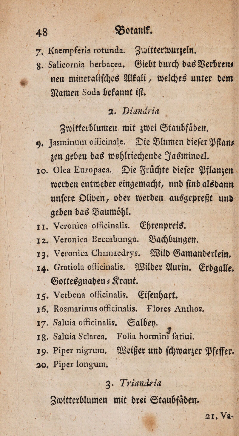 7, Kaempfcria rotunda. 3u>itter;bUt$eltt. g. Salicornia herbäcea, ©lebt burdj SerfcrMM nett mtneraüfcf)e£ 21lfaü, meltf)e3 unter bero Sftantett Soda begannt if?, 2. Diandria gtbiffcvbütmen mit imi ©tnubfabett. 9, jasminum officinale. ©tc Flamen tiefer 33flan* $en geben ba$ töef)Irted)enbe SEa&mnoel, 10, Olea Europaea. £)te S^'u^te tiefer 93f(ön$ett werten entmeber eütgemadjf, unt fütbaBbann unfere Düben, ober werben auSgepregt unt geben ba$ 55aumb&L 11, Veronica officinalis. ©b^pretö* 12, Veronica Beccabunga. £3aci)bungett. 13, Veronica Chamaedrys, 5Ö3tlb ©atttanberlettt, 14, Gratiola officinalis. Silber 51urin, ©rbgalfe. ©otte£gnaben*$eauf, 15, Verbena officinalis, ©tfettfyarf. 16, Rosmarinus officinalis. Flores Anthos. 17, Saluia officinalis, ©albep. Ig. Salüia Sclarea, Folia hormim fatiui. 19. Piper nigram, feiger unt fcfywar&er Pfeffer. 20, Piper longum, 3. Triandria gwittcrblumen mit bret ©taubfaten. 21, Va-