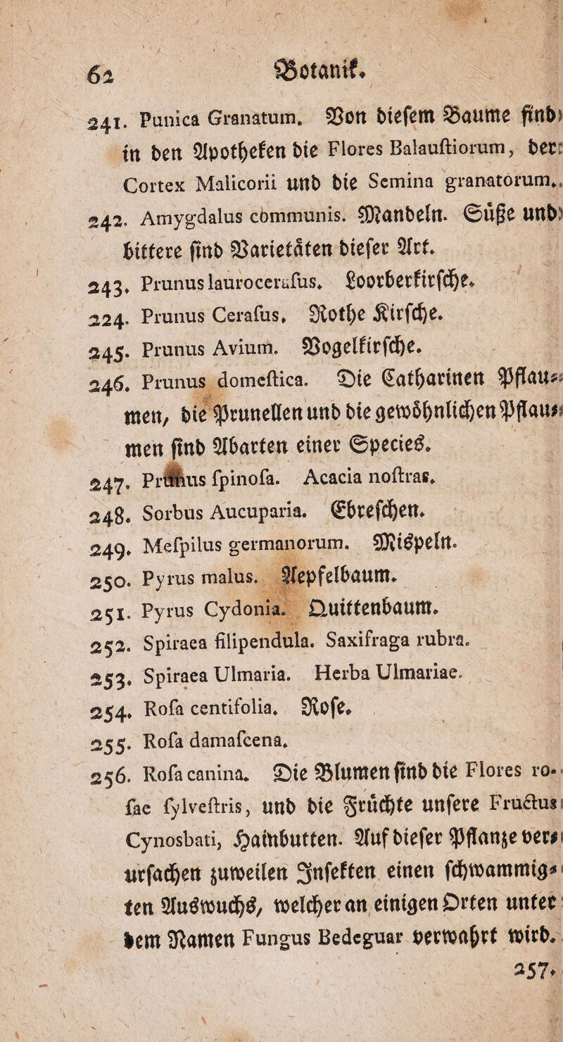 6a QSotamf* 241. Punica Granatuni. $on biefem Saume ftttt» ttt ben 51potf)efen bie Flores Baiauftiorum, bet Cortex Malicorii Uttb bte Semina 'granatörum.. 242. Amygdalus cbmmunis. ^atlbeltt. 0Ü(?e Unb: bittere jmb Sarietdten btefer 2Irt* 243. Prunus laurocerufus«. £oorberfitfdje* 224. Prunus Cerafus. 0iot^>e $itjcf)e* 245. Prunus Avium. SSogelftrfd&e. 246. Prunus domcftica. £>ie (^at^atutten ?3fJau^ men, bie ^runeHen unb bie aewbbnlicfjen $|)flau*; men jmb Abarten einer ©pecieif. 247. Prunus fpinofa. Acacia noftras. 248. Sorbus Aucuparia. <£brefd)em 249* Mefpilus germanorum. SO^i^pdtt« 250. Pyrus malus. 5(epfelbaum* 251. Pyius Cydonia. üuittenbaum. 252. Spiraea filipendula. Saxifraga rubra. , 253. Spiraea Ulmaria. Herba Uimariae. 254. Rofa centifolia. Dvoje* 255. Rofa damafcena. 256. Rofacanina. £)ie Slumenftttb bie Flores ro- fae fylveftris, unb bie $rud)fe unfere Fruftus Cynosbati, £aiubutten. 5(nfbiefer ^Pflanjenewf utfadjen jumeilen 3uf^^ert einen fcfywammiij* ten 3tuömudj$, melier an einiaenDrten unter lern tarnen Fungus Bedeguar peewflfjrt trirb, 357*