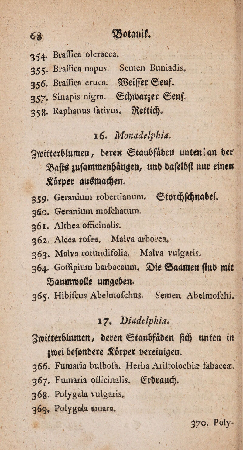 SJotmiif. \ m 354. Braflica oleracea. 355. Braflica napus. Semen Buniadis. 356. Braflica eruca. SBeiffer ©enf. 357. Sinapis nigra. ©cf)fl>ar£et ©ettf* 358. Raphanus fativus* Slettidfj* 16» Monadetphia. gwitterblumen, beten ©töubfdben unten I an bet £8aft$ lufammenbdttgen, unb bafelbfi nur einen Äorper au$ma<jjem \ ' V 359. Geranium robertianurm ©tOtCf)f(JjttabeL 3^0. Geranium mofchatum. 361. Althea officinalis, 362. Alcea rofea. Malva arborea. 363. Malva rotundifolia. Malva vulgaris* 364. Goflipium herbaceum. Sie ©«amert ftttb mit Baumwolle umgeben. 365. Hibifcus Abelmofehus. Semen Abelmofchi. 17. Biadelphia* gtbitfetblumen, beten ©taubfdben ftdfj unten in $mi befonbere Körper bereinigen. 366. Fumaria bulbofa. Herba Ariftolochi# fabaceac, 367. Fumaria officinalis. (ürtbtaucf). 368* Polygala vulgaris. 369. Polygala amara. 370. Poly-