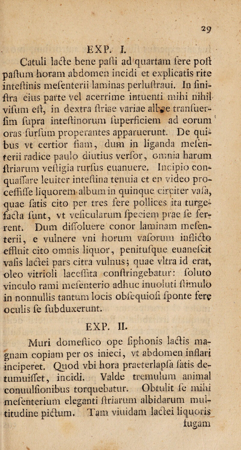EXP. I. Catuli lacie bene parti ad quartam fere poli partum horam abdomen incidi et explicatis rite intertinis mefenterii laminas perluftraui. In fini- rtra eius parte vel acerrime in tuent i mihi nihil vifum eih ia dextra briae variae alfc^e tranfuer- iim fupra inteftinorum ihperficicm ad eorum oras furfum properantes apparuerunt. De qui¬ bus vt certior fiam, dum in liganda melen- terii radice paulo diutius verfor, omnia harum briarum velligia rurfus euanuere. Incipio con* quaflare leuiter intefiina tenuia et en video pro- ceffiffe liquorem album in quinque circiter vafa, quae fatis cito per tres fere pollices ita turge- facla funt, vt veficularum fpeciem prae fe fer¬ rent. Dum diffoluere conor laminam mefen¬ terii, e vulnere vni horum vaforum infiifto effluit cito omnis liquor, penitufque euanefcit vafis la&ci pars citra vulnus; quae vitra id erat, oleo vitricli laceffita conbringebatur: foluto vinculo rami mefenterio adhuc inuoiuti bimulo in nonnullis tantum locis obfequiofi fponte fere oculis fe fubduxerunt. EXP. II. Muri domebico ope liphonis ladis ma¬ gnam copiam per os inieci, vt abdomen inflari inciperet. Quod vbi hora praeterlapfa latis de- tumuiffet, incidi. Valde tremulum animal conuulfionibus torquebatur. Obtulit fe milii mefenteriuiii eleganti briarum albidarum mul¬ titudine pictum. Tam viuidam ladei liquoris fugam
