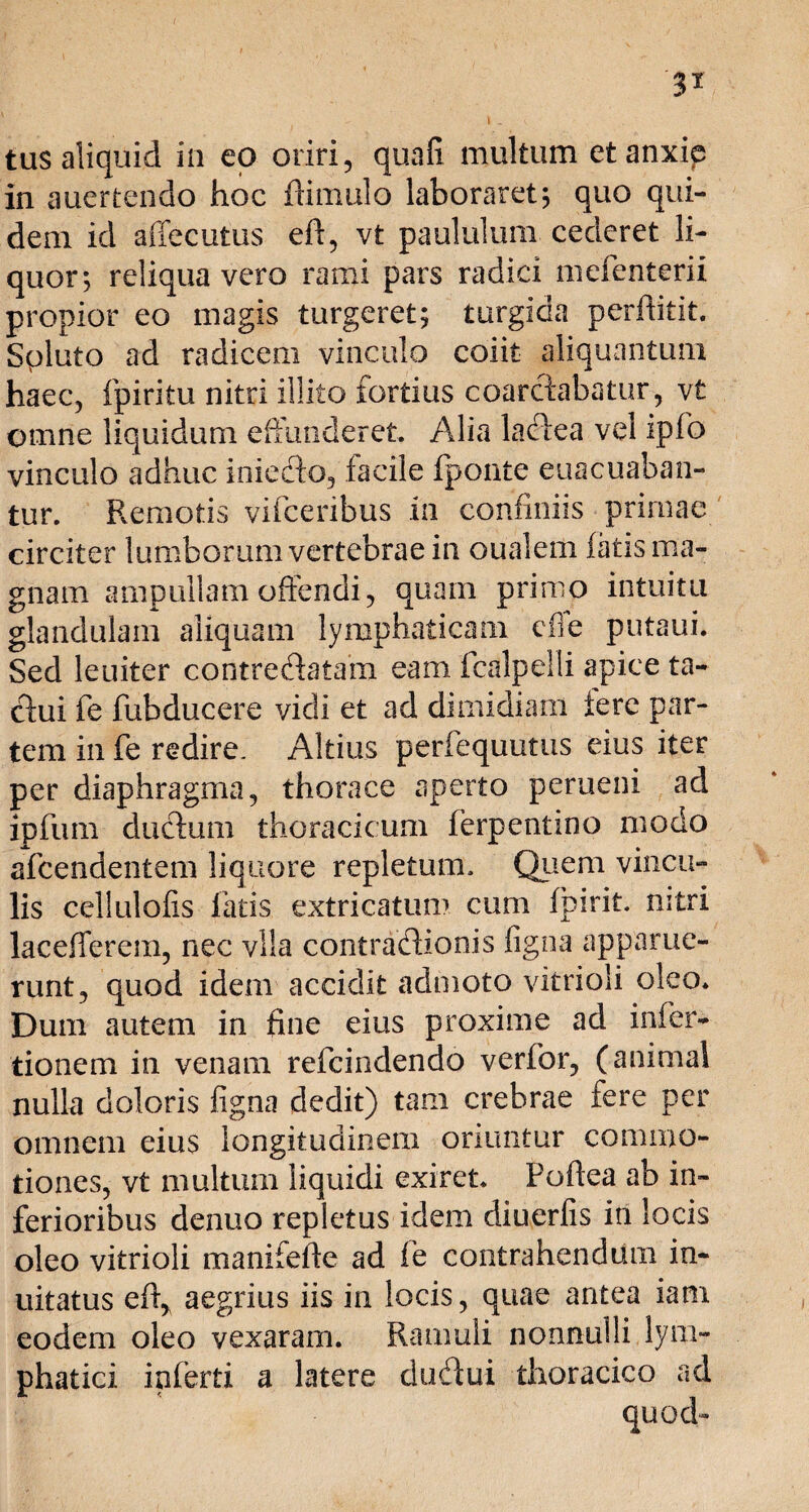 tus aliquid in eo oriri, quafi multum et anxie in auertendo hoc (limulo laboraret; quo qui¬ dem id affecutus eft, vt paululum cederet li¬ quor; reliqua vero rami pars radici mefenterii propior eo magis turgeret; turgida perftitit. Spluto ad radicem vinculo coiit aliquantum haec, fpiritu nitri illito fortius coarcfabatur, vt omne liquidum effunderet. Alia lactea vel ipfo vinculo adhuc iniedo, facile (ponte euacuaban- tur. Remotis vifceribus in confiniis primae circiter lumborum vertebrae in oualem (atis ma¬ gnam ampullam offendi, quam primo intuitu glandulam aliquam lymphaticam cfie putaui. Sed leuiter contredatain eam fcalpelli apice ta¬ ctui fe fubducere vidi et ad dimidiam tere par¬ tem in fe redire. Altius perfequutus eius iter per diaphragma, thorace aperto perueni ad ipfum ductum thoracicum (erpentino modo afcendentem liquore repletum. Quem vincu¬ lis cellulofis fatis extricatum cum (pirit. nitri lacefferem, nec vlla contradionis figna apparue¬ runt, quod idem accidit admoto vitrioli oleo. Dum autem in fine eius proxime ad infer- tionem in venam refcindendo verfor, (animal nulla doloris figna dedit) tam crebrae fere per omnem eius longitudinem oriuntur commo¬ tiones, vt multum liquidi exiret. Poftea ab in¬ ferioribus denuo repletus idem diuerfis in locis oleo vitrioli manifefte ad fe contrahendum in- uitatus e(t, aegrius iis in locis, quae antea iam eodem oleo vexaram. Ramuli nonnulli lym¬ phatici inferti a latere cludui thoracico ad