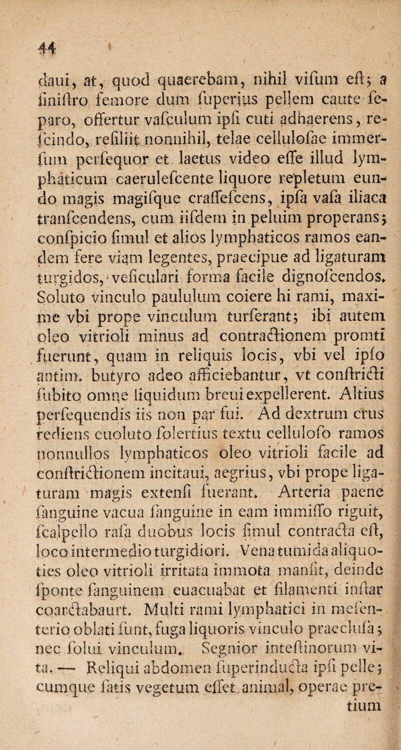 daui, at, quod quaerebam, nihil vifum eft; a ii ni liro femore dum fuperius pellem caute1 fe- paro, offertur vafculum ipli cuti adhaerens, re- jcindo, refiliff nonnihil, telae celiulofae immer- fum pcrfequor et laetus video effe illud lym¬ phaticum caerulefcente liquore repletum eun¬ do magis magifque craffefcens, ipfa vafa iliaca tranfcendens, cum iifdem in peluim properans; confpicio firnul et alios lymphaticos ramos ean¬ dem fere viam legentes, praecipue ad ligaturam turgidos, veficulari forma facile dignofcendos» Soluto vinculo paululum coiere hi rami, maxi¬ me vbi prope vinculum turferant? ibi autem oleo vitrioli minus ad contradlionem promti fuerunt, quam in reliquis locis, vbi vel ipfo antiiih butyro adeo afficiebantur, vt conffridi fiibito omne liquidum breui expellerent Altius perfequendis iis non par fui. Ad dextrum crus rediens euoluto fpiertius textu cellulofo ramos nonnullos lymphaticos oleo vitrioli facile ad conffriclionem in cita ui, aegrius, vbi prope liga¬ turam magis extenfi fuerant» Arteria paene .(anguine vacua (anguine in eam immiffo riguit, fcalpello rafa duobus locis fimul contracta eff, loco intermedio turgidiori. Vena tumida aliquo¬ ties oleo vitrioli irritata immota manfit, deinde fponte fanguineni euacuabat et filamenti inffar coaritabaurt. Multi rami lymphatici in mefen- terio oblati funt, fuga liquoris vinculo praeclufa ; nec folui vinculum. Segnior intefiinorum vi- erindudta ipli pelle; animal, operae pre- ta. — Reliqui abdomen fup cumque fatis vegetum effet
