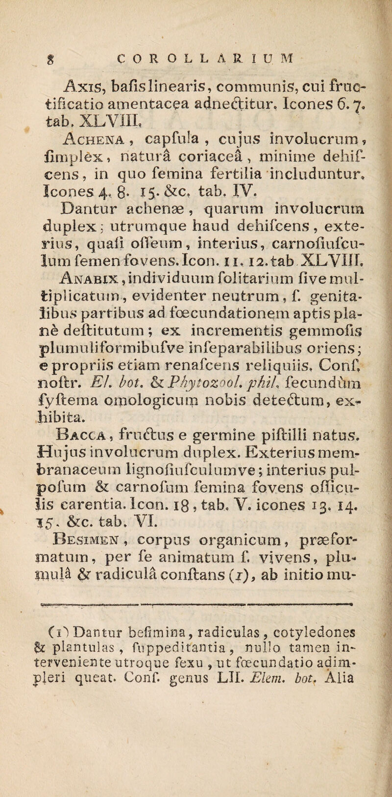 Axis, bafislinearis, communis, cui fruc¬ tificatio amentacea adnectifcur. Icones 6.7« tab, XLVIIL Achena , capfula , cujus involucrum ? fimplex» natura coriacea, minime dehlf- cens, in quo femina fertilia includuntur* Icones 4. 8- 15* &c, tab. IV. Dantur athenae , quarum involucrum duplex; utrumque haud dehifcens , exte¬ rius, quali odeum, interius, earnofmfcu- ium femen fovens. Icon. 11, 12. tab .XLVJJI. An ab ix, individuum folitarium live mul¬ tiplicatum, evidenter neutrum, f. genita¬ libus partibus ad foecundationem aptis pla¬ ne deftitutum; ex incrementis gemmofis plumuliformibufve infeparabilibus oriens; e propriis etiam renafcens reliquiis, Coni» noftr. EL bot. & Phytozoo/. phih fecundum fyfterna oinologicum nobis deteftum, ex¬ hibita. Bacca , fruftus e germine piftilii natus. Hujus involucrum duplex. Exterius mem¬ branaceum lignoliufcuiumve; interius pul- pofum & carnofum femina fovens officu- lis carentia, icon. 18? tab. V. icones 13. 14. 15. &c. tab, VI. Besimen , corpus organicum, praefor¬ matum , per fe animatum f. vivens, piu- mula & radicula conftans (j), ab initio mu- (i') Dantur befnnina, radiculas , cotyledones & plantulas , fuppeditantia, nullo tamen in¬ terveniente utroque fexu , ut foecundatio adim¬ pleri queat. Conf. genus LII. Ekm. bot. Alia