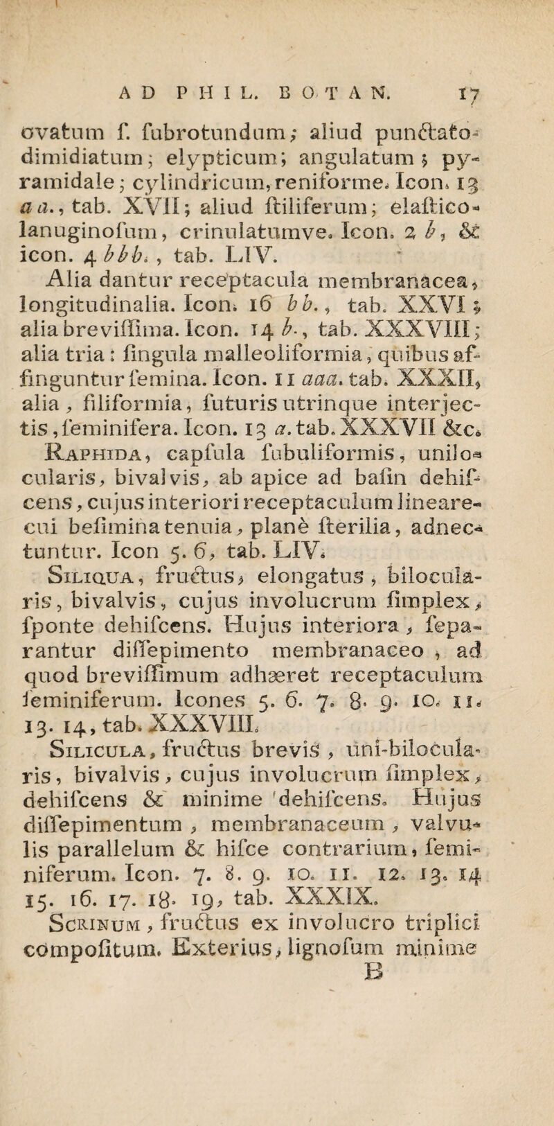 AD P XI I L. B O T A N. 17 ovatum f. fubrotundum; aliud punftato- dimidiatum; elypticum; angulatum $ py¬ ramidale; cylindricum, reniforme/Icom 13 a a., tab. XVII; aliud ftiliferum; elaltico* lanuginofum, crinulatumve. Icon, icon. 4 bbb. , tab. LIV. Alia dantur receptacula membranacea* longitudinalia. Icon; 16 bb., tab. XXVI; alia breviffima. icon. 14^-, tab. XXXVIII; alia tria: lingula malleoliformia, quibus af¬ finguntur femina. Icon, ii aaa* tabi XXXII* alia , filiformia, futurisutrinque interjec¬ tis ,leminifera. Icon. 13 a. tab. XXXVII &c* Raphida, capfula fubuliformis, unilo^ cularis, bivalvis, ab apice ad balin dehif- cens, cujus interiori receptaculum lineare- cui befimina tenuia, plane fterilia, adnec- tuntur. Icon 5. 6, tab. LIV* Siliqua, fructus> elongatus , bilocula- ris, bivalvis, cujus involucrum fimplex> fponte dehifcens. Hujus interiora , fepa- rantur dilTepimento membranaceo , ad quod breviffimum adhaeret receptaculum ieminiferum. Icones 5. 6. 7. 8* 9* io* 11* 13. 14, tab. XXXVIII. ^ > Silicula, fruftus brevis , ilni-bilocula- ris, bivalvis, cujus involucrum iimplex, dehifcens & minime ‘dehifcens. Hujus diffepimentum , membranaceum , valvu¬ lis parallelum & hifce contrarium, femi- niferum* Icon. 7. 8. 9. 10. 11. 12. 13. 14 15. 16. 17. 18* 19* tab. XXXIX. Scrinum , fruftus ex involucro triplici compotitum. Exterius, lignofum minime B