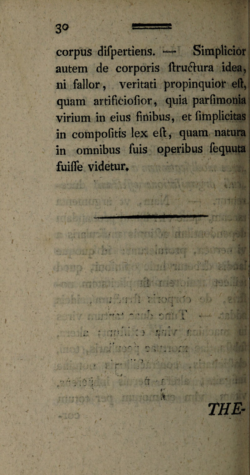 corpus difpertiens. •—■ Simplicior autem de corporis ftru&ura idea, ni fallor, veritati propinquior eft, quam artificiofior, quia parfimonia virium in eius finibus, et fimplicitas in compofitis lex eft, quam natura in omnibus fuis operibus fequuta fuifle videtur. THE-