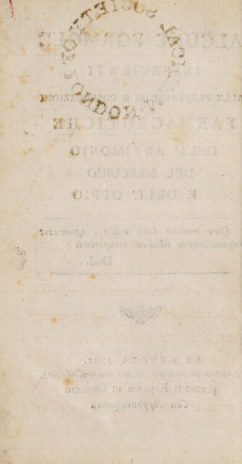 * * ; \ ■4- ' '1 i - - ' ^ r ' - • -t > a v ' -» *v fe-x ■ jn -\ * ' * %j ■ -• ♦ ' *