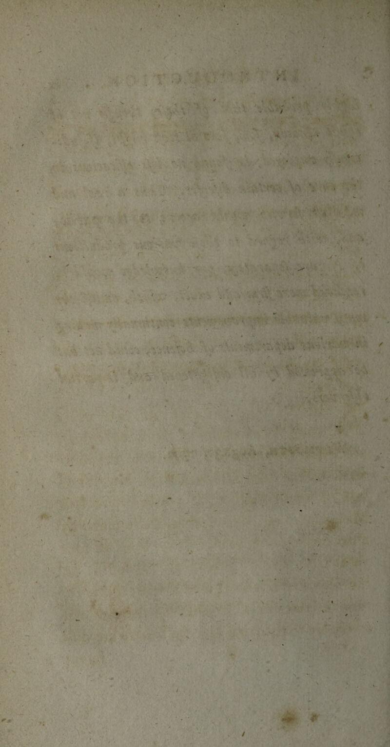 / ■ A.., ■> ' ■ ‘ilr jr f: -. • •• , fci*. . • • ^V'*} \ ' ^ - ,■ ■■■-. 1 'K' -i ''I i ' » « >. ■H. j >’.\Z V’* V.' • - V - »- v-A'V.^.- ' *1 ,>* * V rA’sC.>' S' ■T' ^ * ■' : ■,:7 ■ - ’S -, V- J ^' ^ r ,*■; f'-' •ir- _ ,5 • .« ,■.> *•-. ‘‘r'' f’-* i'** •,>'..■* 4 4 i f >i i,%'* ^ V-^.v 1. ' ‘-V-tJ- , T* -; ' ; '■ i: i. ft '■■v :^v ;>•: •■■■•': ' . .■'^ '• t - .. :*efI yi —ll; ' •* ' •'0 ' . 1 ./! ■. V. t.. ^ J / V5£. ,' ■ ■f i ■? ■ ; ■.4,; <.,