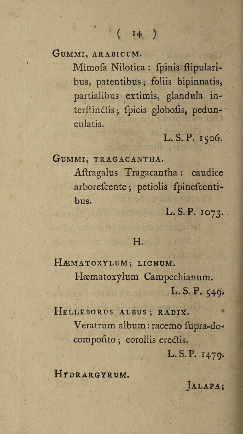 GUMMI, ARABICUM. Mimofa Nilotica : fpinis flipulari* bus, patentibus; foliis bipinnatis* partialibus extimis, glandula in-^ ♦ terftindisj fpicis globofis, pedun- culatis. L. S. P. 1506* Gummi, tragacantha. Aliragalus Tragacantha: caudice arborefcente; petiolis fpinefcenti- bus* L.S.P. 1073. • ■ ^ <v H. / , ■* \ r 1 ' ; • 1 HL&MATOXYLUM; LIGNUM. Haematoxylum Campechianum. L. S. P. 549' HeLLRBORUS ALBUS ; RADIX. Veratrum album: racemo fupra-de-1 compotito; corollis eredis. L.S.P. 1479. HrDRARGYRUM. JALAPA;