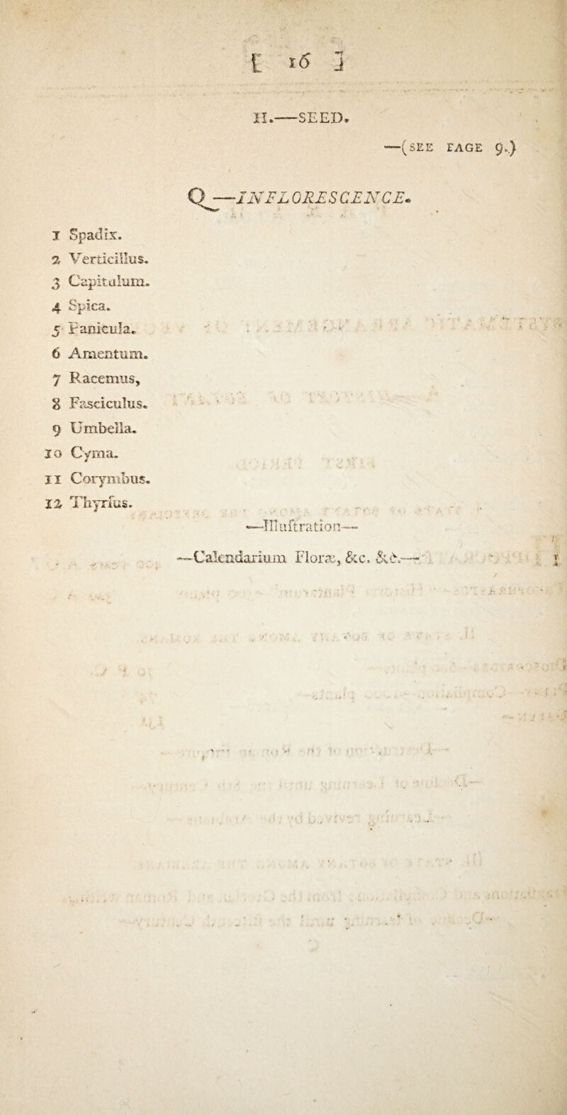 i 3 I! -SEED T Q'^-INFLORESCENCE. ti. * ' T%v , ■<, I Spadix. Verticillus. 3 Capitulum. 4 Spies. 5' Fanicula. 6 Amentum. & Fasciculus. •• ■ ‘ ; 9 XJmbeila. jo Cyras. II Corymbus. 12, Thyrius. •—-III uftratio n— Calendarium. Florae, &c. FAGE