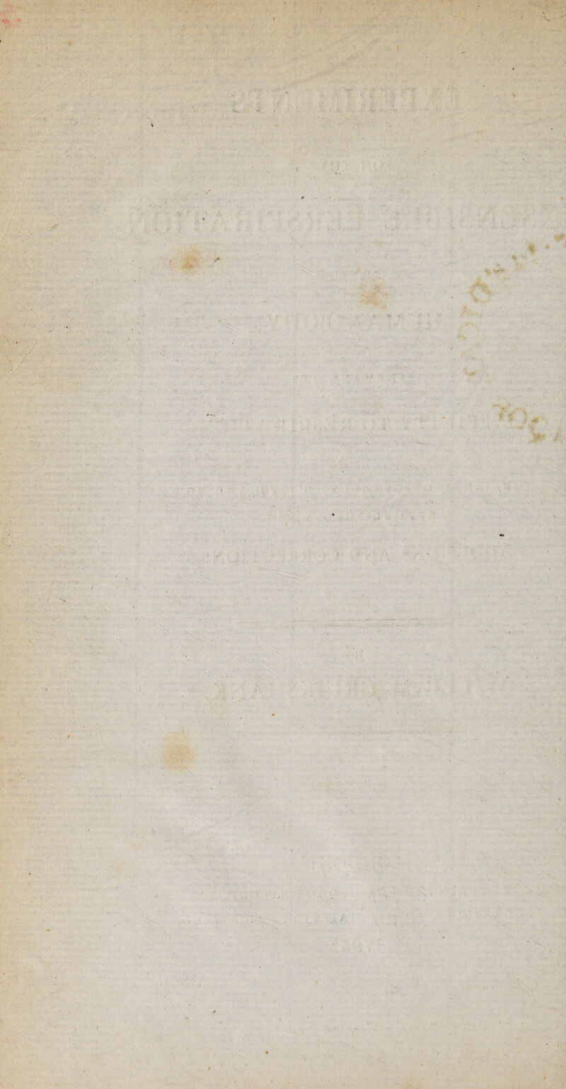 ►1* / \ • < > 4: I \ •* ■ ' • £ * - ■ '<■. » - . - , •?*'. • i . j I Jk ' ,