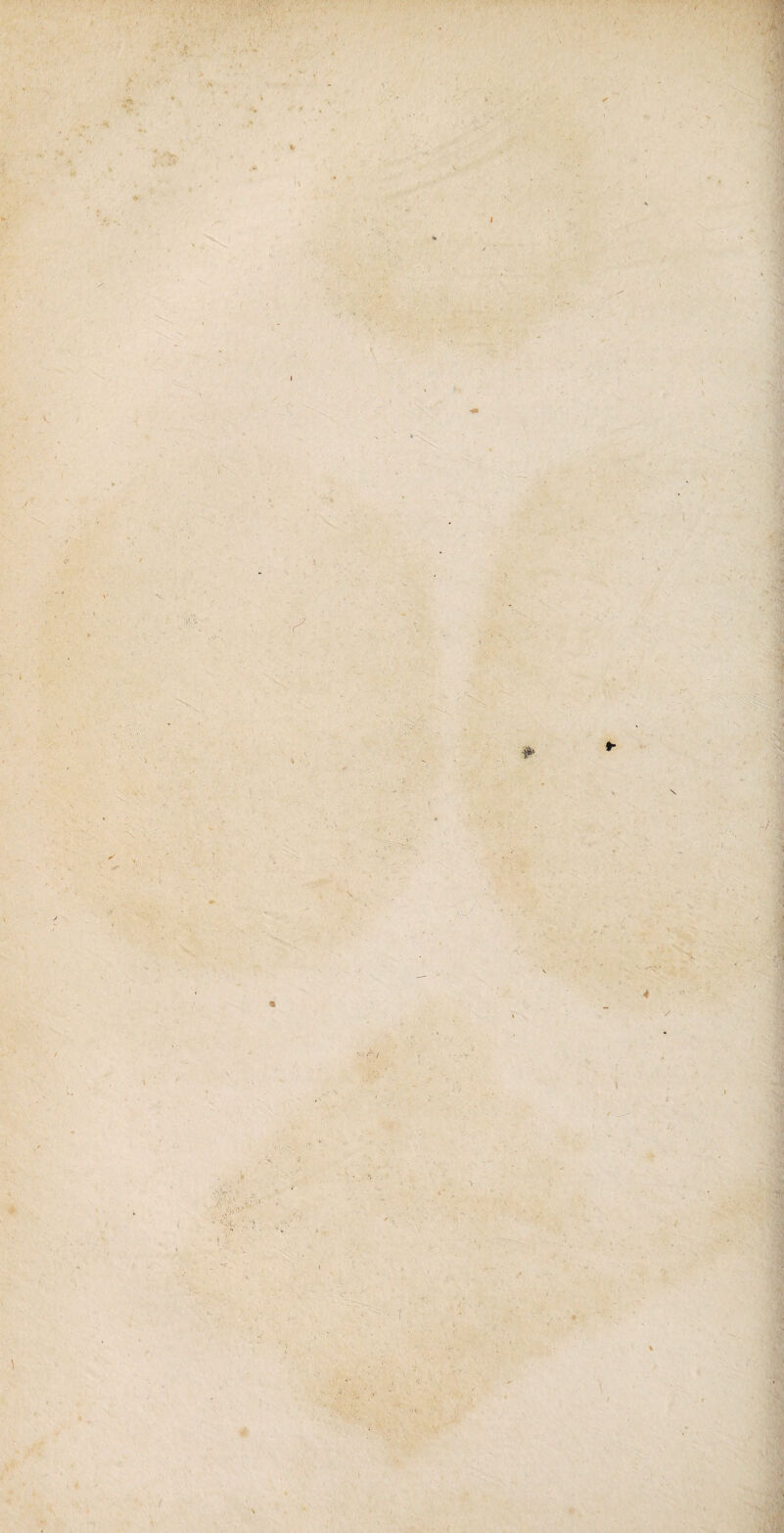 - ; ■1 ■ • \ 1 f  V