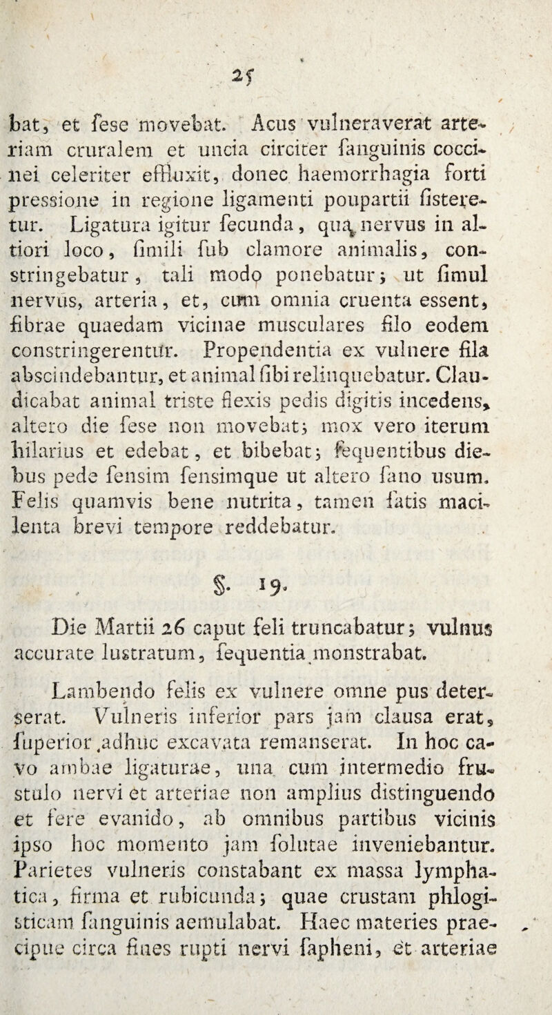 bat, et fese movebat. Acus vulneraverat arte* riam cruralem et uncia circiter fanguinis cocci¬ nei celeriter effluxit, donec haemorrhagia forti pressione in regione ligamenti poupartii fi ster e- tur. Ligatura igitur fecunda, qut\nervus ili al- tiori loco, fimili fub clamore animalis, con¬ stringebatur, tali modo ponebatur i ut fimul nervus, arteria, et, cimi omnia cruenta essent, fibrae quaedam vicinae musculares filo eodem constringerentur. Propendentia ex vulnere fila abscindebantur, et animal fibi relinquebatur. Clau¬ dicabat animal triste flexis pedis digitis incedens* altero die fese non movebat.; mox vero iterum hilarius et edebat, et bibebat; fequentibus die¬ bus pede fensim fensimque ut altero fano usum. Felis quamvis bene nutrita, tamen fatis maci¬ lenta brevi tempore reddebatur. §• '9* y ' N Die Martii 26 caput feli truncabatur; vulnus accurate lustratum, fequentia monstrabat. Lambendo felis ex vulnere omne pus deter¬ serat. Vulneris inferior pars jam clausa erat, fuperior ,adhuc excavata remanserat. I11 hoc ca¬ vo ambae ligaturae, una cum intermedio fru¬ stulo nervi et arteriae non amplius distinguendo et fere evanido, ab omnibus partibus vicinis ipso hoc momento jam folutae inveniebantur. Parietes vulneris constabant ex massa lympha¬ tica, firma et rubicunda; quae crustam phlogi- sticani fanguinis aemulabat. Haec materies prae¬ cipue circa fines rupti nervi fapheni, et arteriae