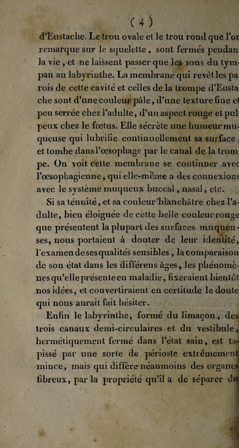 cPÊustache. Le trou ovale et le trou rond que for remarque sur le squelette , sont fermés pendan la vie , et ne laissent passer que les sons du tym¬ pan au labyrinthe. La membrane qui revêt les pa rois de cette cavité et celles de la trompe d’Eusta che sont d’une couleur pâle, d’une texture fine e! peu serrée chez l’adulte, d’un aspect rouge et pul peux chez le fœtus. Elle sécrète une humeur mu¬ queuse qui lubrifie continuellement sa surface , et tombe dans l’œsophage par le canal de la trom¬ pe. On voit celle membrane se continuer avec l’œsophagienne, qui elle-même a des connexions avec le système muqueux buccal, nasal, etc. Si sa ténuité, et sa couleur‘blanchâtre chez l’a¬ dulte, bien éloignée de cette belle couleurrouge que présentent la plupart des surfaces muqueu¬ ses, nous portaient à douter de leur identité, l’examen de ses qualités sensibles , la comparaison de son état dans les différens âges, les phénomè¬ nes qu’elle présente en maladie, fixeraient bientôt nos idées, et convertiraient en certitude le doute qui nous aurait fait hésiter. Enfin le labyrinthe, formé du limaçon, des trois canaux demi-circulaires et du vestibule, hermétiquement fermé dans l’état sain, est ta¬ pissé par une sorte de périoste extrêmement mince, mais qui diffère néanmoins des organes fibreux, par la propriété qu’il a de séparer du