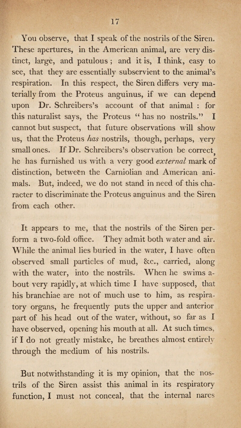 You observe, that I speak of the nostrils of the Siren. These apertures, in the American animal, are very dis¬ tinct, large, and patulous ; and it is, I think, easy to see, that they are essentially subservient to the animal’s respiration. In this respect, the Siren differs very ma¬ terially from the Proteus anguinus, if we can depend upon Dr. Schreibers’s account of that animal : for this naturalist says, the Proteus “ has no nostrils.” I cannot but suspect, that future observations will show us, that the Proteus has nostrils, though, perhaps, very small ones. If Dr. Schreibers’s observation be correct he has furnished us with a very good external mark of distinction, between the Carnioiian and American ani¬ mals. But, indeed, we do not stand in need of this cha¬ racter to discriminate the Proteus anguinus and the Siren from each other. It appears to me, that the nostrils of the Siren per¬ form a two-fold office. They admit both water and air. While the animal lies buried in the water, I have often observed small particles of mud, &c., carried, along with the water, into the nostrils. When he swims a- bout very rapidly, at which time I have supposed, that his branchiae are not of much use to him, as respira¬ tory organs, he frequently puts the upper and anterior part of his head out of the water, without, so far as I have observed, opening his mouth at all. At such times, if I do not greatly mistake, he breathes almost entirely through the medium of his nostrils. But notwithstanding it is my opinion, that the nos¬ trils of the Siren assist this animal in its respiratory function, I must not conceal, that the internal nares