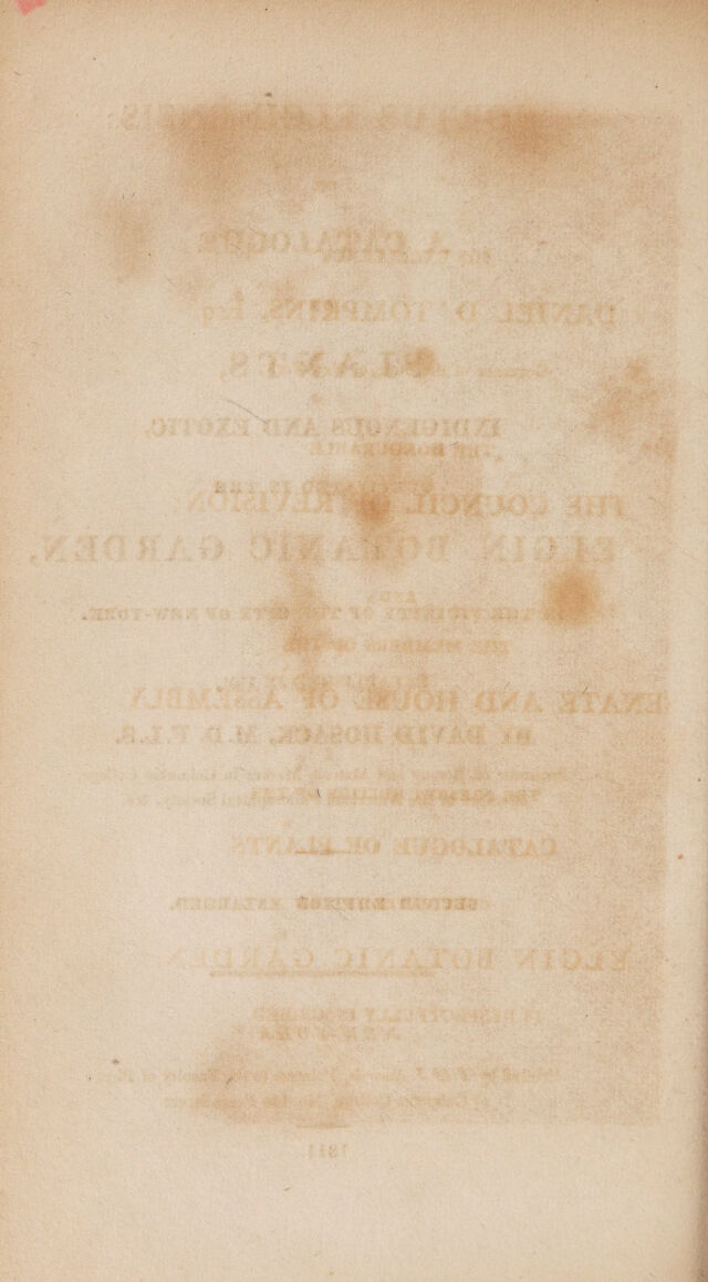 digitised image 2