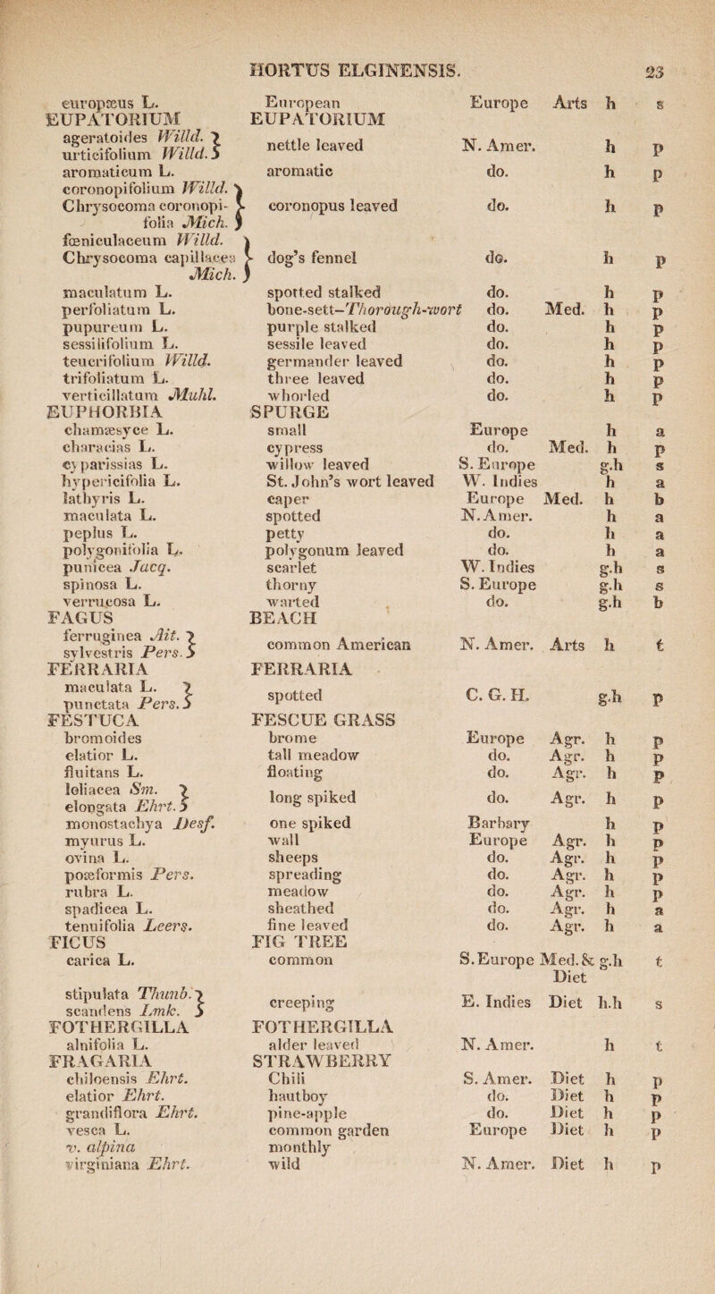 europceiis L. European Europe Arts h EUPATORIUM EUPATORIUM ageratoities VVilld. 7 urticifolium Willd.S nettle leaved N. Amer. h aroraaticum L. aromatic do. h coronopifolium Willd. \ Clirysocoma coronopi- > coronopus leaved do. h folia JVLich. J fosniculaceum Willd. Chrysocoma capiliacfii dog’s fennel do. h •Mich. maculatum L. sported stalked do. h perfoliatum L. hone-^eti—'rhorauMi-'ivort do. Med. h pupureuiYi L. purple stalked do. h sessilifolium L. sessile leaved do. h teucrifoliurn Willd- germander leaved do. h trifoliatum L. three leaved do. h verticillatum JVLuhl. whorled do. h EUPHORBIA SPURGE cliaiBsesyce L. small Europe h characias L. cypress do. Med. h c\panssias L, ■willow leaved S. Europe g.h hypericifolia L. St. John’s -wort leaved W. Indies h latbyris L. caper Europe Med. h inaculata L. spotted N. Amer. h peplus U. petty do. h polygonifolia L, polygonum leaved do. h punicea .Tacq. scarlet W. Indies g.h spinosa L. thorny S. Europe g.h vetTUcosa L. Availed do. g-h FAGUS BEACH ferruginea Ait. 7 sylvestris Pers-S common American N. Amer. Arts h FERRARIA FERRARIA maculata L. 7 punctata Pers.S spotted C. G. H. g.h FESTUCA FESCUE GRASS bromoides brome Europe Agr. h elatior L. tall meadow do. Agr. h fluitans L. floating do. Agr. h loliaeea Sm. 7 elongata Phrt. 5 long spiked do. Agr. h monostachya Desf, one spiked Barhary h rnyurus L. ■wall Europe Agr. h ovina L. sheeps do. Agr. h poteformis Pers. spreading do. Agr. h rubra L. meadow do. Agr. h spadicea L. sheathed do. Agr. h teniii folia Leers. fine leaved do. Agr. h FICUS FIG TREE carica L, common S.Europe Med.&; g.h Diet stipulata Thtmb.') scandens Lmk. S creeping E. Indies Diet h.h FOTHERGILLA FOTHERGILLA alnifoiia L. alder leaved N. Amer. h FRAGARIA STRAWBERRY chiloensis Khrt. Chili S. Amer. Diet h elatior Phrt. hautboy do. Diet h grandiflora Ehrt. pine-apple do. Diet h vesca U. common garden Europe Diet h T. alpina monthly