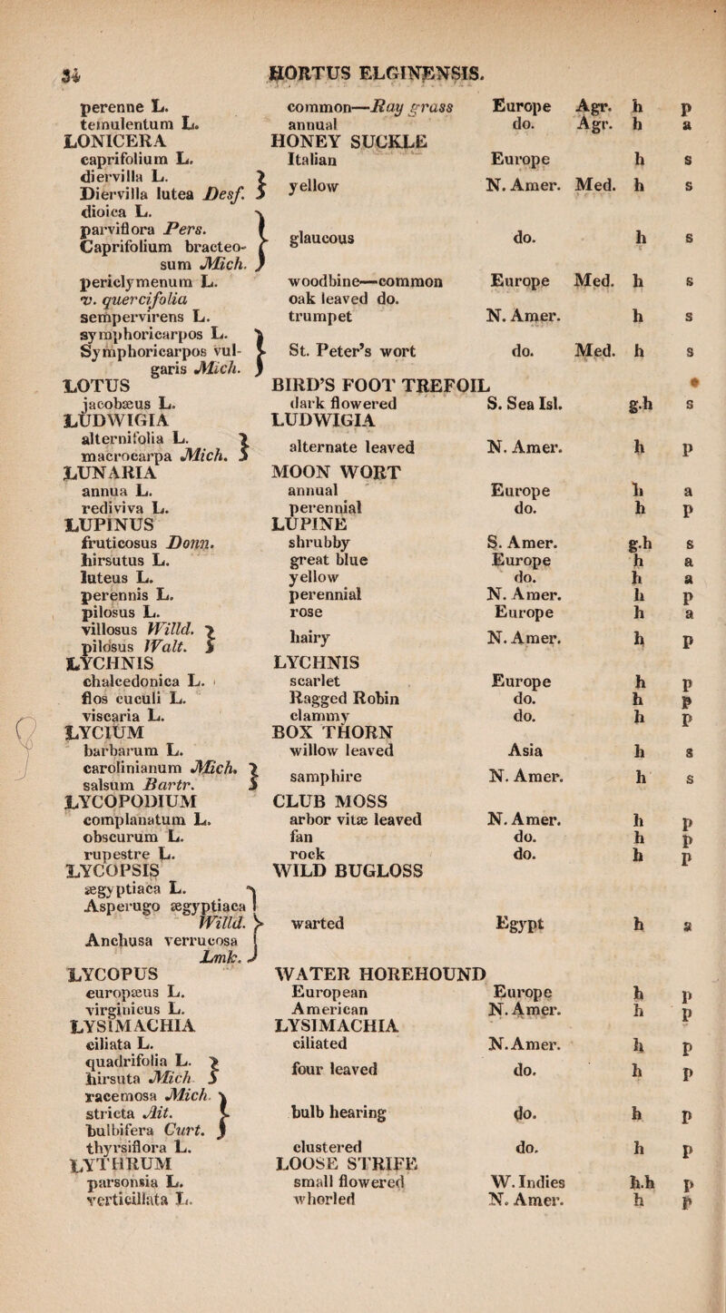 perenne L. LONICERA diervilla L. Diervilla lutea Desf. dioica L. parviflora Pers. Caprifolium bracteo- sum J\Iich. V. quercifolia syraphoricarpos L. garis J^ich. LOTUS common—Pay grass annual HONEY SUCKLE } oak leaved do. Europe Agr. h Agr. h BIRD’S FOOT TREFOIL LtTDWIGIA LUDWIGIA alternifolia L. > macroearpa Mich. 5 LUPINUS LUPINE villosus Willd, ■> pilo'sus Walt, j LYCHNIS LYCHNIS LYCltJM BOX THORN carolinianum Mich, 7 salsum Bartr. S LYCOPODIUM CLUB MOSS LYCOPSIS WILD BUGLOSS segyptiaca L. “n Asperugo segypUaca 1 Anchusa verrucosa | Brnk. J LYCOPUS WATER HOREHOUND LYSIMACHIA LYSIMACHIA quadrifolia L. > racemosa Mich. \ bulbifera Curt. } lythrum LOOSE STRIFE