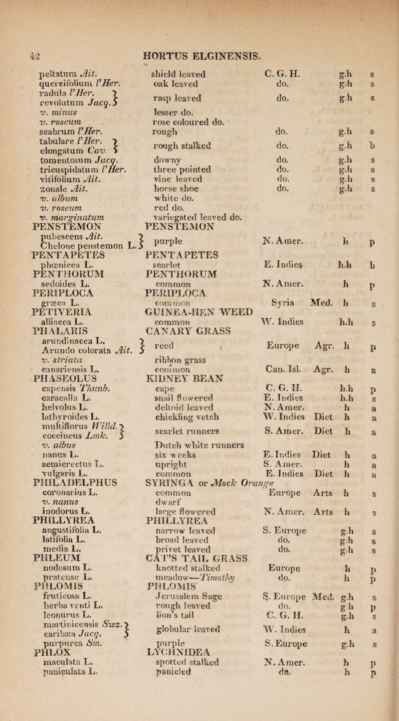 peltatum Ait. shield leaved C. G. H. g.h quereifolium VHer. oak leaved do. g.h radula VHer. \ revolutura Jacq.S rasp leaved do. g.h 'V. minus lesser do. V. roseum rose coloured do. scabrum VHer. rough do. g.h tabulare VHer. \ elongatum Cav > rough stalked do. gh tomentosam Jacq. downy do. g.h tricuspidatum VHer. three pointed do. g.h vitifolium Ait. vine leaved do. g.h zonale Ait. horse shoe do. g.h •v. album white do. 7J. roseum red do. V. marginatum variegated leaved do. ') PENSTEMON PENSTEMON pubescens Ait.  Chelone penstemon L.J ^ purple N- Amer. h PENTAPETES PENT A PETES phffinicea L. scarlet E. Indies h.h PENIHORUM PENTHORUM sedoides L. common N. Amer. h PERIPLOCA PERIPLOCA grseea L. corn mon Syria Med. h PETIVERIA GUINEA-HEN WEED alllacea L. common W. Indies h.h PHALARIS CANARY GRASS arundinacea L. Arundo colorata Ait. . ^ reed i Europe Agr. h V. striata ribbon grass canariensis L. common Can. Isl. Agr. h PHASEOLUS KIDNEY BEAN caperssis Thunb. cape C. G. H. h.h caracalla L, snail flowered B. Indies h.h heivolus L. deltoid leaved N. Amer. h lathyroides L. chickling vetch W. Indies Diet h multiflorus Willd.'i cocci neus JLmk. S scarlet l unners S. Amer. Diet h V. albus Dutch white runners nanus L. six Aveeks E. Indies Diet h semierectus L. upright S. Amer. h Tulgaris L. common E. Indies Diet h PHILADELPHUS SYRINGA or Mock Or ange coronarius L. common Europe Arts h •v. narms dwarf inodorus L. large flowered N. Amer, Arts h PHILLYREA PHILLYREA angustifolia L. narrow leaved S. Europe g.h latifolia L. broad leaved do. gh media L. privet leaved do. g.h PHLEUM CAT’S TAIL GRASS nodosum L. knotted stalked Europe h pratensc L. mead 0 w—Timothy do. h PHLOMIS PHLOMIS fruticosa L. Jerusalem Sage 3. Europe Med. g-^ lierl)a vend L. rough leaved do. g leonurus L. lion’s tail C. G. H. g.h raartinicensis Stsz. caribsea Jacq. 5 globular leaved W. Indies h purpurea Sin. purple S. Europe g.h PHLOX LYCHNIDEA maculata L. spotted stalked N. xVraer. h