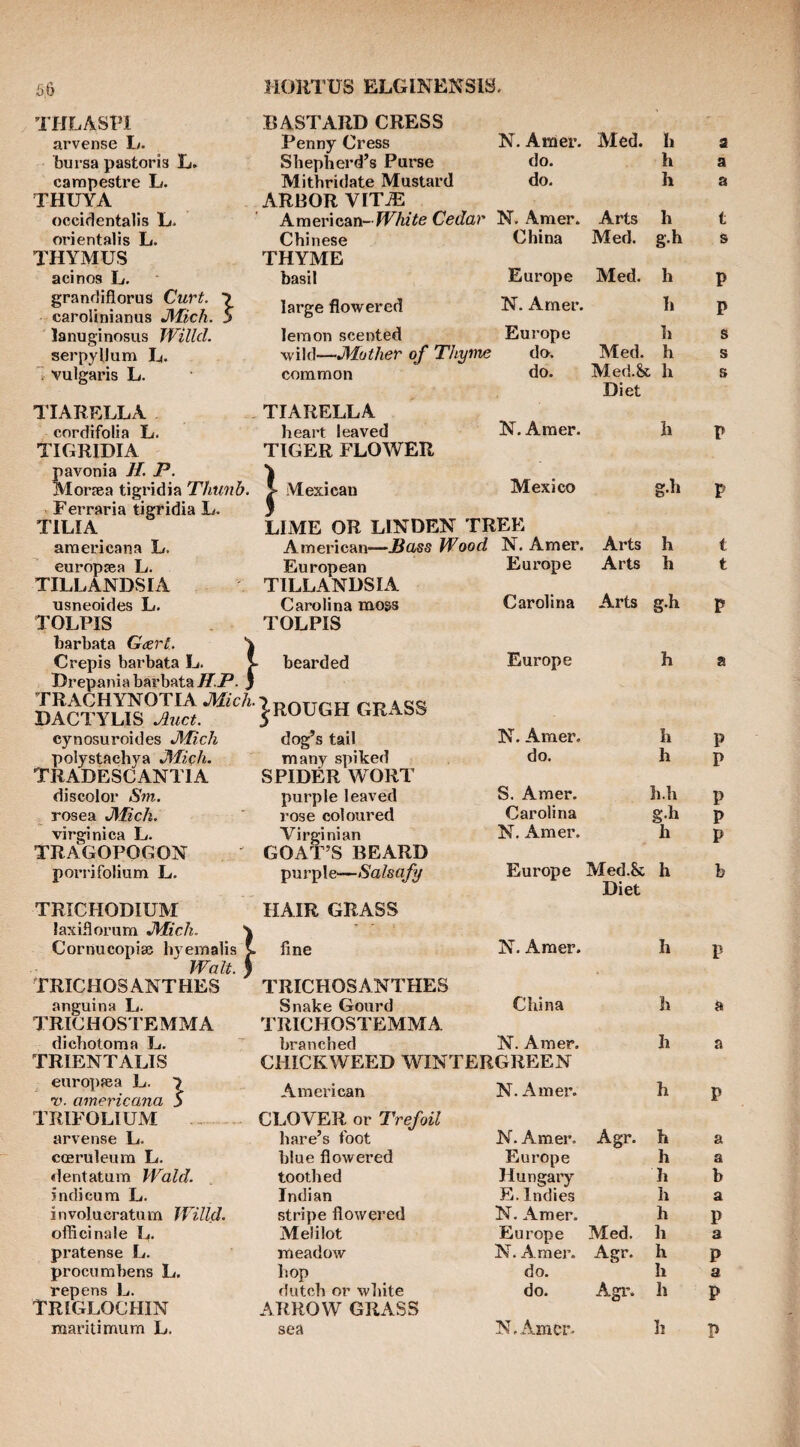 THLASPi BASTARD CRESS arvense L. Penny Cress N. Anier. Med. Ii a Lursa pastoris E» Shepherd’s Purse do. h a campestx'e L. Mithridate Mustard do. h a THUYA ARBOR VIT^ occidentalis L- American-HViiYe Cedar N. Amer. Arts h t orientalis L. Chinese China Med. g.h s THYMUS THYME acinos L. basil Europe Med. h P granrJifiorus Curt. 7 carolinianus JVIich. 5 large flowered N. Amer. h P lanuginosus Willd. lesnon scented Europe h s serpyllum U. “ vulgaris L. wild—Mother of Thyme do. Med. h s common do. Med.& ; h s Diet TIARELLA TIARELLA N. Amer. cnrdifolia L. heart leaved h p TIGRIDIA TIGER FLOWER pavonia 7/. P. ) Mexico Morsea tigridia Tliunb. Ferraria tigridia L. > Mexican p TILIA LIME OR LINDEN TREE araericana L. American—JSass Wood N. Amer. Arts h t europsea L. European Europe Arts h t TILLANDSIA TILLANDSIA Arts usneoides L. Carolina moss Carolina g.h p TOLPIS TOLPIS liarbata Gtert ^ Crepis barbata L. v UrepaniabarbataTT.P. } bearded Europe h a TRACHYNOTIA Mich. DACTYLIS Mict. ^ROUGH GRxiSS cynosuroides Mich dog’s tail N. Amer. h P polystachya Mich. many spiked do. h P TRADESCANTIA SPIDER WORT discolor Sm. purple leaved S. Amer, h.h P , rosea Mich. I'ose coloured Carolina g.h P virginica L. Virginian N. Amer. h P TRAGOPOGON GOAT’S BEARD porri folium L. purple—Salsafy Europe Med.& Diet h b TRICHODIUM HAIR GRASS laxiflorum Mich. \ - ' Cornucopise hyeinalis v line N. Amer. h P Walt.} TRICHOSANTHES TRICHOSANTHES anguina L. Snake Gourd China h a 7'RICHOSTEMMA TRICHOSTEMMA dichotoma L. branched N. Amer. h a TRIENTALIS CHICKWEED WINTERGREEN europsea L. 7 American N. Amer. h P •v. americana 5 TRIFOLIUM CLOVER or Trefoil arvense L. hare’s foot N. Amer. Agr. h a cceruleum L. blue flowered Europe h a dentatum Wald. toothed Hungary h b indicum L. Indian E. Indies h a involueratum Willd. stripe flowered N. Amer. h P officinale U. Melilot Europe Med. h a pratense L, meadow N. Amer. Agr. h P procumbens L. hop do. h a repens L. dutch or white do. Agi\ h P TRIGLOCHIN ARROW GRASS