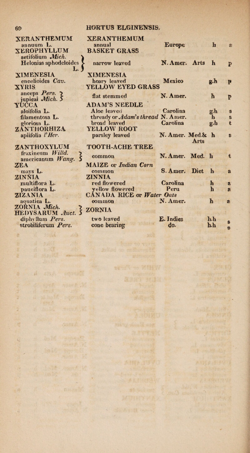XERANTHEMUM XERANTHEMUM annuum L. annual Europe h a' XEROPHYELUM BASKET GRASS setifolium Mich. ' ) Helonias aphodeloides L. * XIMENESIA > narrow leaved N. Amer. Arts h P XIMENESIA encelioides Cav. hoary leaved Mexico g.h P XYRIS YELLOW EYED GRASS anceps Pers. ■> iupicai Mich. S flat stemmed N. Amer. h P YUCCA ADAM’S NEEDLE aloifolia L. Aloe leaved Carolina s filamentosa L. thresiAy or Adanv's thread N. Amer. h s gloriosa L. broad leaved Carolina g.h t ZANTHORHIZA YELLOW ROOT apiifolia VHer. parsley leaved N. Amer. Med.St Arts h s ZANTHOXYLUM TOOTH-ACHE TREE fraxineum Willd. > araericanum Wan^. 5 common N. Amer. Med. h t ZEA MAIZE or Indian Corn mays L. common S. Amer, Diet h a ZINNIA ZINNIA multiflora L. red floAvered Carolina h a pauciflora L- yellow flowered Peru h R ZIZANIA CANADA RICE or Water Oats aauatica L. common N. Amer. h a ZORNIA Mich. X HEDYSARUM Auct. 5 ZORNIA diphvllum Pers. two leaved £. Indies h.h Btrobiliferum Pers. cone bearing do. h.h o