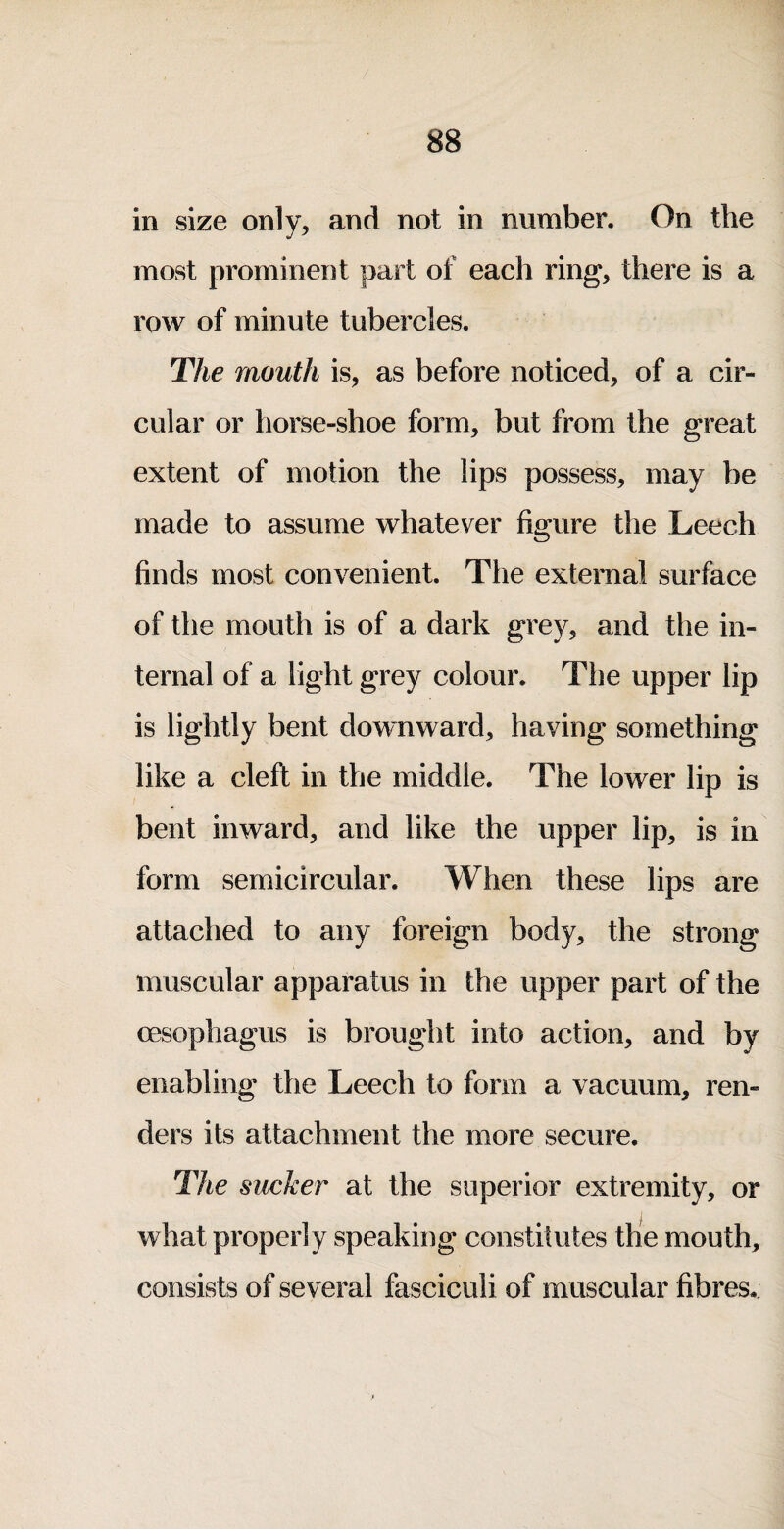 in size only, and not in number. On the most prominent part of each ring, there is a row of minute tubercles. The mouth is, as before noticed, of a cir¬ cular or horse-shoe form, but from the great extent of motion the lips possess, may be made to assume whatever figure the Leech finds most convenient. The external surface of the mouth is of a dark grey, and the in¬ ternal of a light grey colour. The upper lip is lightly bent downward, having something like a cleft in the middle. The lower lip is bent inward, and like the upper lip, is in form semicircular. When these lips are attached to any foreign body, the strong muscular apparatus in the upper part of the oesophagus is brought into action, and by enabling the Leech to form a vacuum, ren¬ ders its attachment the more secure. The sucker at the superior extremity, or what properly speaking constitutes the mouth, consists of several fasciculi of muscular fibres.