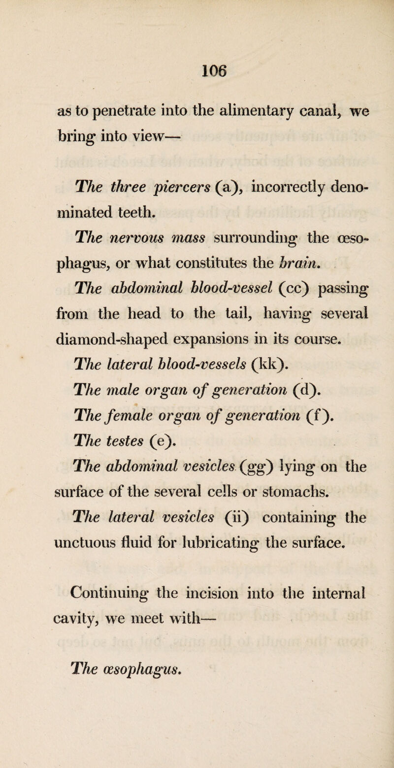 as to penetrate into the alimentary canal, we bring into view— The three piercers (a), incorrectly deno¬ minated teeth. The nervous mass surrounding the oeso¬ phagus, or what constitutes the brain. The abdominal blood-vessel (cc) passing from the head to the tail, having several diamond-shaped expansions in its course. The lateral blood-vessels (kk). The male organ of generation (d). The female organ of generation (f). The testes (e). The abdominal vesicles (gg) lying on the surface of the several cells or stomachs. The lateral vesicles (ii) containing the unctuous fluid for lubricating the surface. Continuing the incision into the internal cavity, we meet with— The oesophagus.