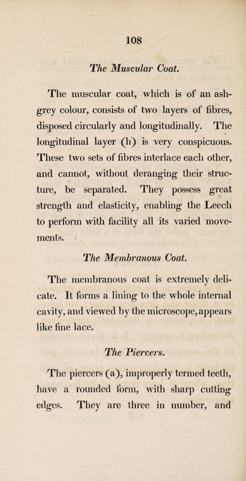 The Muscular Coat. The muscular coat, which is of an ash- grey colour, consists of two layers of fibres, disposed circularly and longitudinally. The longitudinal layer (h) is very conspicuous. These two sets of fibres interlace each other, and cannot, without deranging their struc¬ ture, be separated. They possess great strength and elasticity, enabling the Leech to perform with facility all its varied move¬ ments. The Membranous Coat. The membranous coat is extremely deli¬ cate. It forms a lining to the whole internal cavity, and viewed by the microscope, appears like fine lace. The Piercers. The piercers (a), improperly termed teeth, have a rounded form, with sharp cutting edges. They are three in number, and