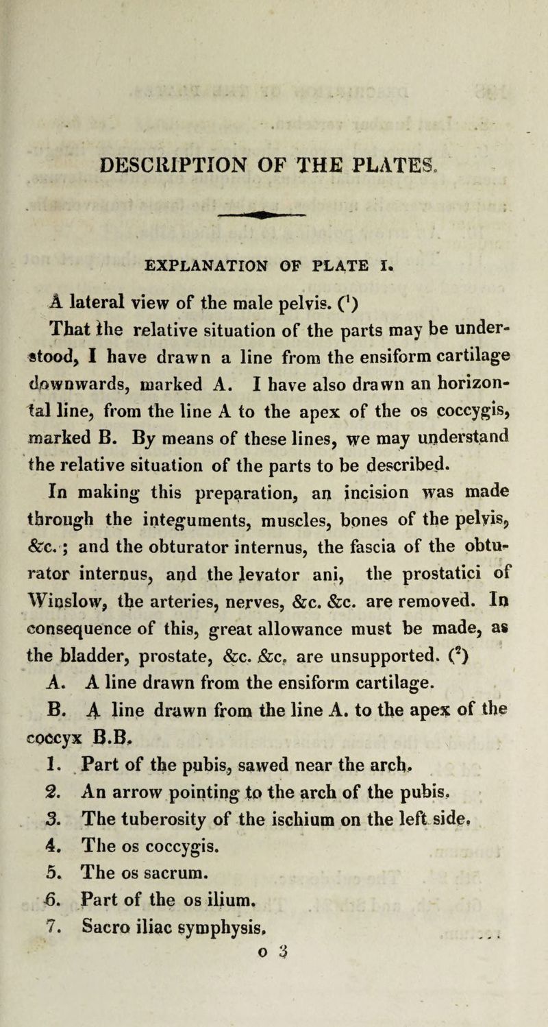 EXPLANATION OF PLATE I. A lateral view of the male pelvis. C1) That Ihe relative situation of the parts may be under¬ stood, I have drawn a line from the ensiform cartilage downwards, marked A. I have also drawn an horizon¬ tal line, from the line A to the apex of the os coccygis, marked B. By means of these lines, we may understand the relative situation of the parts to be described. In making this preparation, an incision was made through the integuments, muscles, bones of the pelvis. Sec,; and the obturator internus, the fascia of the obtu¬ rator internus, and the levator ani, the prostatici of Winslow, the arteries, nerves, &amp;c. &amp;c. are removed. In consequence of this, great allowance must be made, as the bladder, prostate, &amp;c. Sec, are unsupported. C) A. A line drawn from the ensiform cartilage. • Jt B. A line drawn from the line A. to the apex of the coccyx B.B, 1. Part of the pubis, sawed near the arch. 2. An arrow pointing to the arch of the pubis, 3. The tuberosity of the ischium on the left side, 4. The os coccygis. 5. The os sacrum. Part of the os ilium. 7. Sacro iliac symphysis, o 3