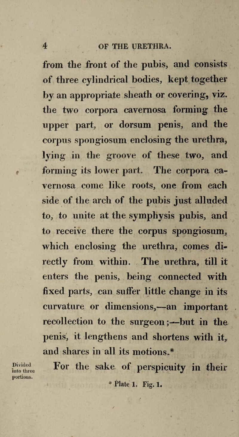 f Divided into three portions. from the front of the pubis, and consists of three cylindrical bodies, kept together by an appropriate sheath or covering, viz. the two corpora cavernosa forming the upper part, or dorsum penis, and the corpus spongiosum enclosing the urethra, lying in the groove of these two, and forming its lower part. The corpora ca¬ vernosa come like roots, one from each side of the arch of the pubis just alluded to, to unite at the symphysis pubis, and to receive there the corpus spongiosum, which enclosing the urethra, comes di¬ rectly from within. . The urethra, till it enters the penis, being connected with fixed parts, can suffer little change in its curvature or dimensions,—an important recollection to the surgeon;—^but in the penis', it lengthens and shortens with it^ and shares in all its motions.* For the sake of perspicuity in their * Plate 1. Fig. 1. /