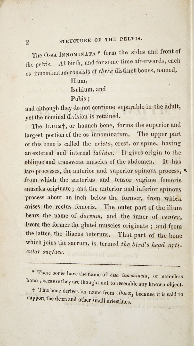 2 STRUCTURE OF THE PELVIS. The OssA Xnnominata* form the sides and front of the pelvis. At birth, and for some time afterwards, each os innominatum consists of three distinct bones, named, Ilium, Ischium, and Pubis; and although they do not continue separable in the adult, yet the nominal division is retained. The ImuMf, or haunch bone, forms the superior and largest portion of the os innominatum. The upper part of this bone is called the crista, crest, or spine, having an external and internal labium. It gives origin to the oblique and transverse muscles of the abdomen. It has two processes, the anterior and superior spinous process, *• from which the sartorius and tensor vaginae fern oris muscles originate ; and the anterior and inferior spinous process about an inch below the former, from whitu arises the rectus femoris. The outer part of the ilium bears the name of dorsum, and the inner of venter. From the former the glutei muscles originate ; and from the latter, the iliacus interims. That part of the bone which joins the sacrum, is termed the bird's head arti- cular sui'face. * These bones have the name of ossa irmominala, or nameless bones, because they are thought not to resemble any known object. + This bone derives its name from aXa*, because it is said to support the tleum and other small intestines.