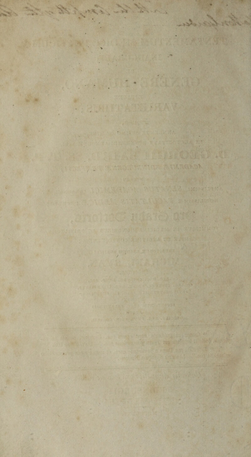 k * • * s *•> '.. >^V '. . • . • * . * . > '• , •■ ' 1 ’ ^ . V > * * • • * * ■ ■ • . 9 ' V ' ' •i . ^ .vl, > * - ■ .: ■ v > v ■ ■ - * . . . . .•.Akksl w 4 « •» - / , . K ■ 4.1 ' 4* ■ ’ •' •; )