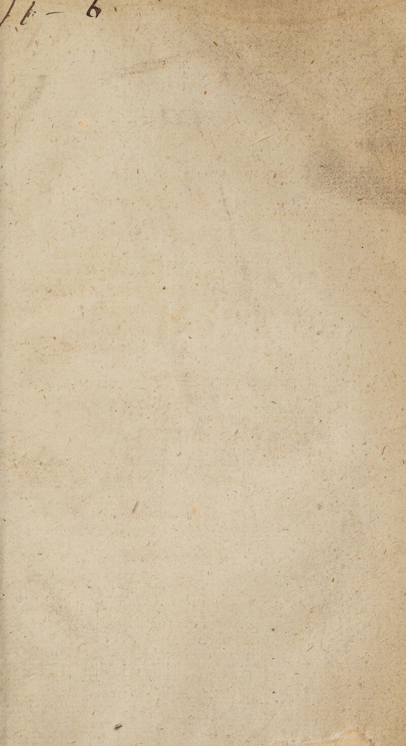 \ ! \ Ÿ . '' ,\ . r * v ;/r î/ VV*'-’-' r-& r v r- - V , •*> ’ -7 4 • . . s> X’- V . * -, / • ? (. ‘ ■ *■* ; ■SVi;’?,... •. ,'&» ' . '• • >. * / ' \ <> ' 'v . •v. .ï’ ' ■ ■ ■ ' I V,' • • * '-/ v ■ ' • ■/ ' ■ , . . . y. -Z^ •< s \':4?ïé&& - u' ftîy ' ■ -'.'a:-*,:. ': \ 1 r. - . -rr:'-'\Wtë . .