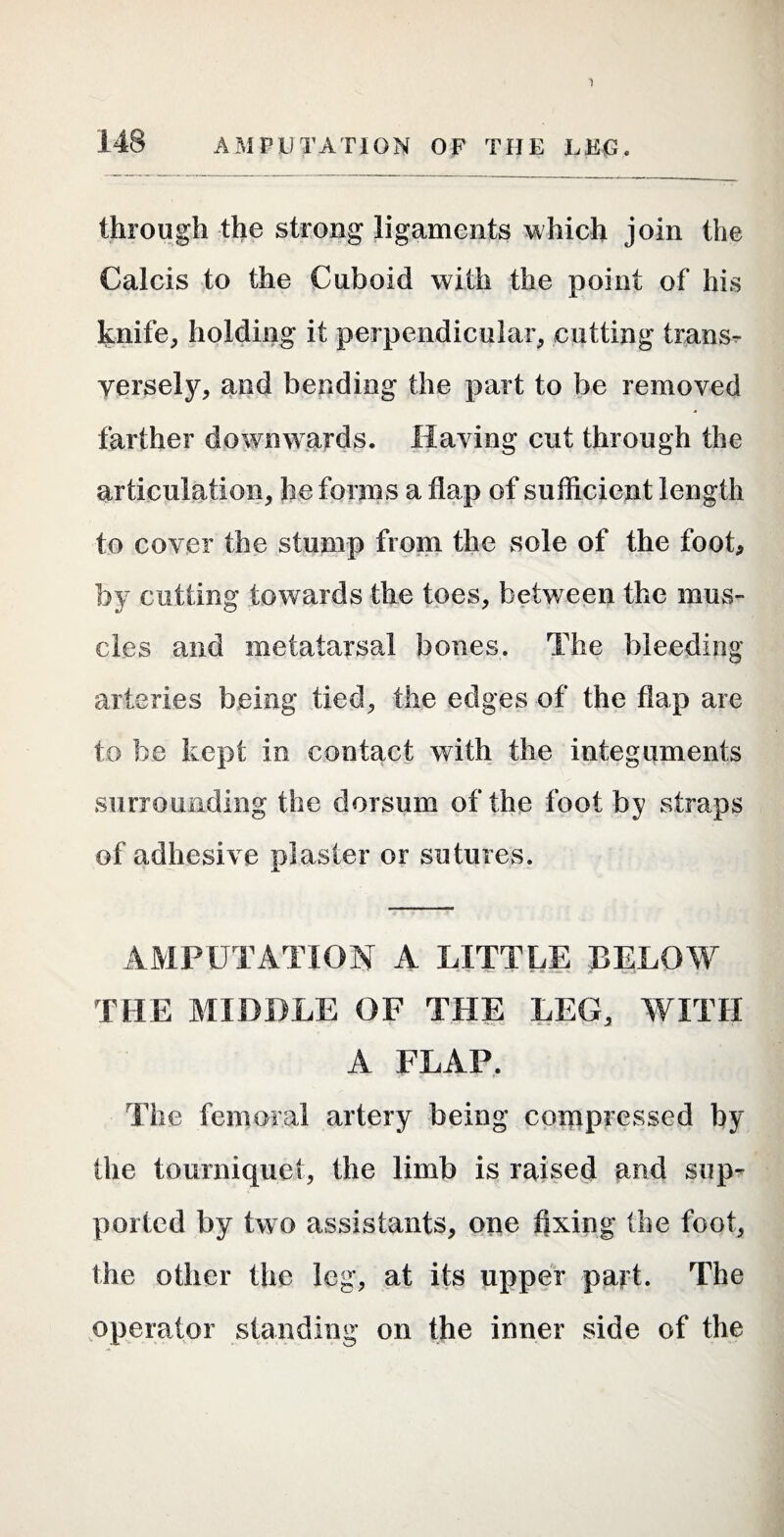 through the strong ligaments which join the Calcis to the Cuboid with the point of his knife^ holding it perpendicular, cutting transr versely, and bending the part to be removed farther downwards. Having cut through the articulation, he forins a flap of sufficient length to cover the stump from the sole of the foot, by cutting towards the toes, between the mus¬ cles and metatarsal bones. The bleeding arteries being tied, the edges of the flap are to be kept in contact with the integuments surrounding the dorsum of the foot hy straps of adhesive plaster or sutures. AMPUTATION A LITTLE BELOW THE MIDDLE OF THE LEG, WITH A FLAP. The femoral artery being coippressed by the tourniquet, the limb is raised and sup¬ ported by two assistants, one fixing the foot, the other the leg, at its upper part. The operator standing on the inner side of the