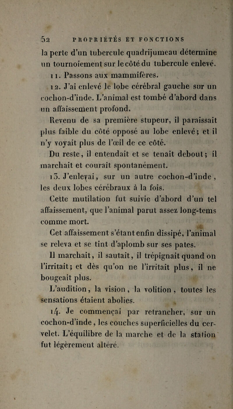 la perte d’un tubercule quadrijumeau détermine un tournoiement sur le côté du tubercule enlevé. 11. Passons aux mammifères. 12. J’ai enlevé le lobe cérébral gauche sur un cochon-d’inde. L’animal est tombé d’abord dans un affaissement profond. Prévenu de sa première stupeur, il paraissait plus faible du côté opposé au lobe enlevé; et il n’y voyait plus de l’œil de ce côté. Du reste, il entendait et se tenait debout; il marchait et courait spontanément. 13. J’enleyai, sur un autre cochon-d’inde , les deux lobes cérébraux à la fois. Cette mutilation fut suivie d’abord d’un tel affaissement, que l’animal parut assez long-tems comme mort. Cet affaissement s étant enfin dissipé, l’animal se releva et se tint d’aplomb sur ses pâtes. Il marchait, il sautait, il trépignait quand on l’irritait; et dès qu’on ne l’irritait plus, il ne bougeait plus. L’audition, la vision, la volition , toutes les sensations étaient abolies. i4- commençai par retrancher, sur un cochon-d’inde, les couches superficielles du cer¬ velet. L’équilibre de la marche et de la station fut légèrement altéré.