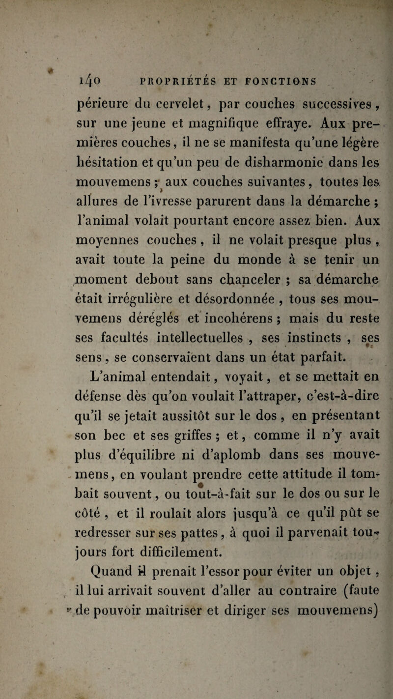 S ” „ I périeure du cervelet, par couches successives ? sur une jeune et magnifique effraye. Aux pre¬ mières couches, il ne se manifesta qu’une légère hésitation et qu’un peu de disharmonie dans les mouvemens ? aux couches suivantes, toutes les » allures de l’ivresse parurent dans la démarche ; l’animal volait pourtant encore assez bien. Aux moyennes couches , il ne volait presque plus , avait toute la peine du monde à se tenir un moment debout sans chanceler ; sa démarche était irrégulière et désordonnée , tous ses mou¬ vemens déréglés et incohérens ; mais du reste ses facultés intellectuelles , ses instincts , ses sens, se conservaient dans un état parfait. L’animal entendait, voyait, et se mettait en défense dès qu’on voulait l’attraper, c’est-à-dire qu’il se jetait aussitôt sur le dos , en présentant son bec et ses griffes ; et, comme il n’y avait plus d’équilibre ni d’aplomb dans ses mouve¬ mens, en voulant prendre cette attitude il tom¬ bait souvent, ou tout-à-fait sur le dos ou sur le côté , et il roulait alors jusqu’à ce qu’il pût se redresser sur ses pattes, à quoi il parvenait tou-* jours fort difficilement. Quand i4 prenait l’essor pour éviter un objet , il lui arrivait souvent d’aller au contraire (faute de pouvoir maîtriser et diriger ses mouvemens)